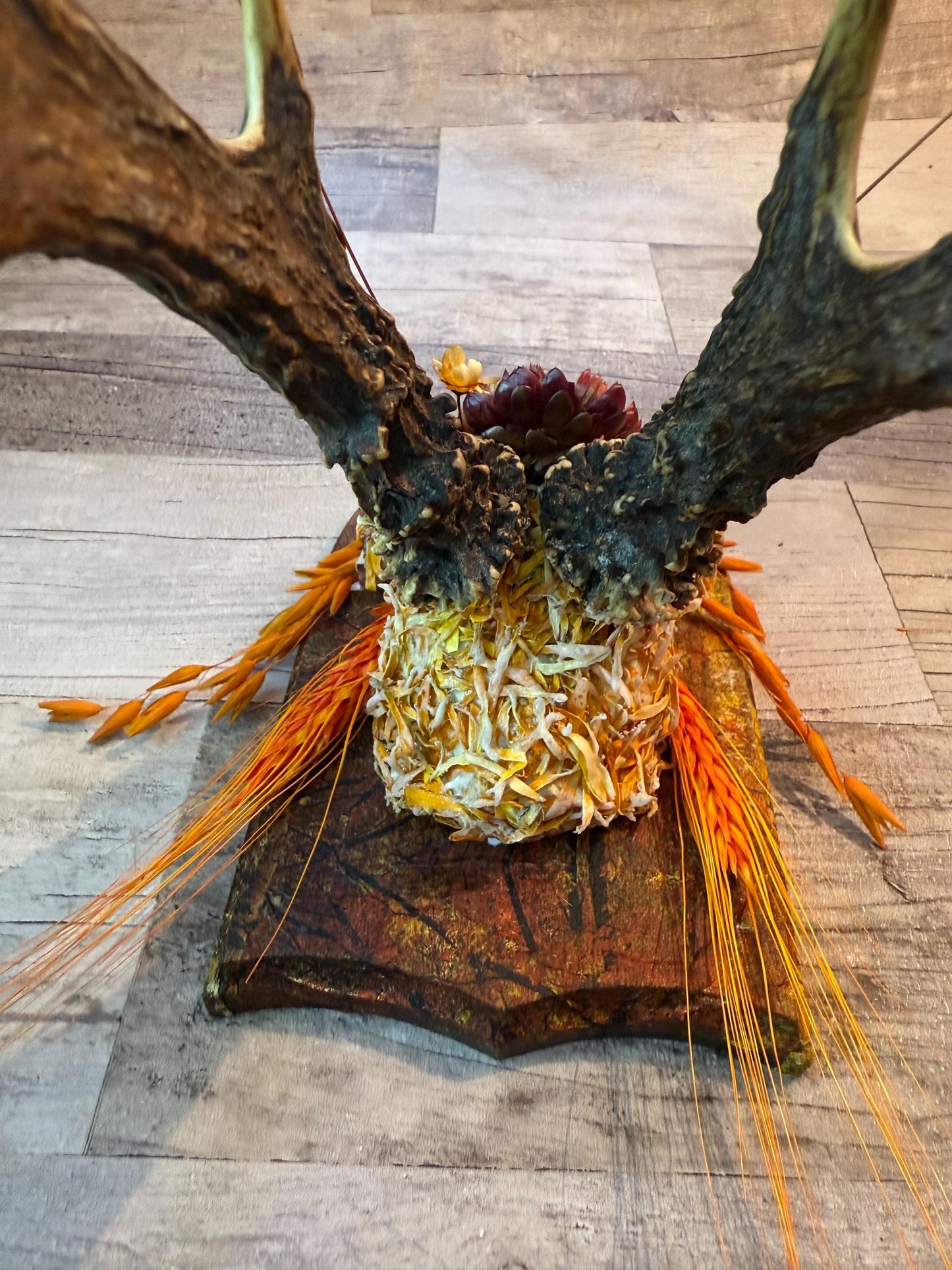 Dried Flowers Decorated Deer Skull Wall Decor Responsibly Sourced Orange Yellow - Ceredigion Dreadlocks
