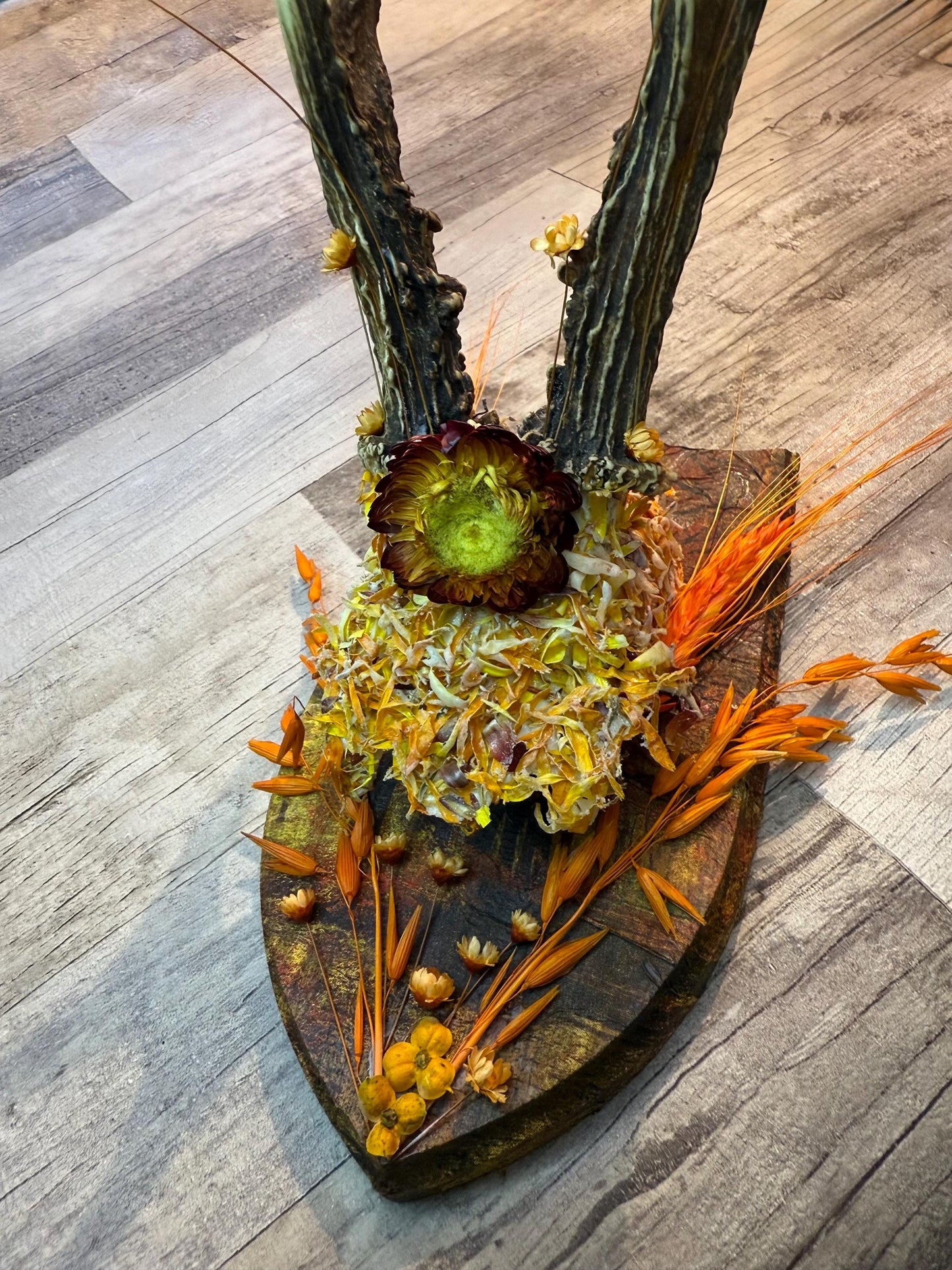 Dried Flowers Decorated Deer Skull Wall Decor Responsibly Sourced Orange Yellow - Ceredigion Dreadlocks