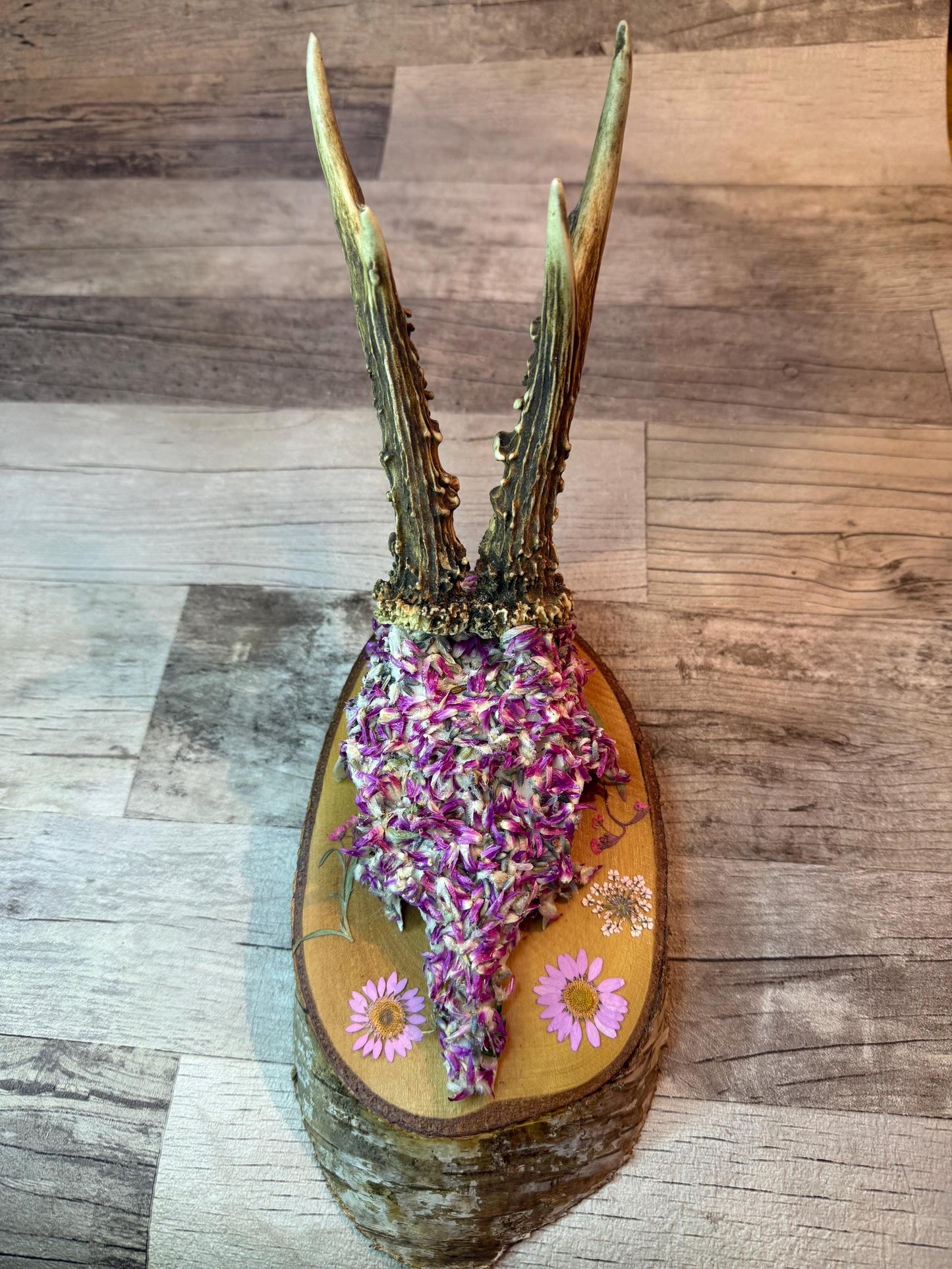 Dried Flowers Decorated Deer Skull Wall Decor Responsibly Sourced Pink Purple Lavender - Ceredigion Dreadlocks