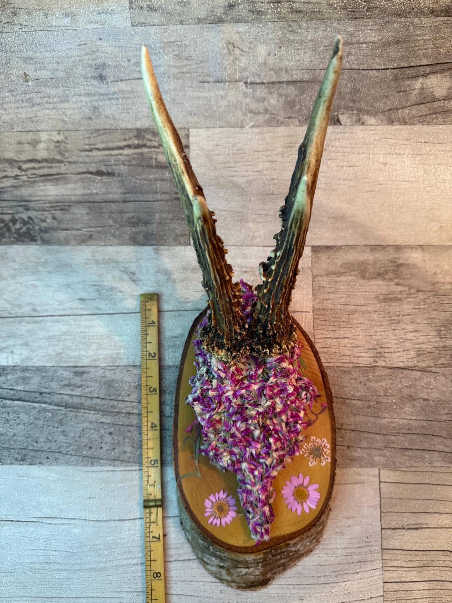 Dried Flowers Decorated Deer Skull Wall Decor Responsibly Sourced Pink Purple Lavender - Ceredigion Dreadlocks