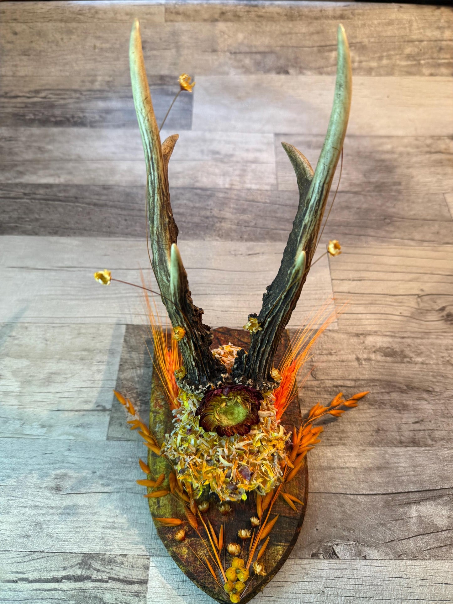 Dried Flowers Decorated Deer Skull Wall Decor Responsibly Sourced Orange Yellow - Ceredigion Dreadlocks
