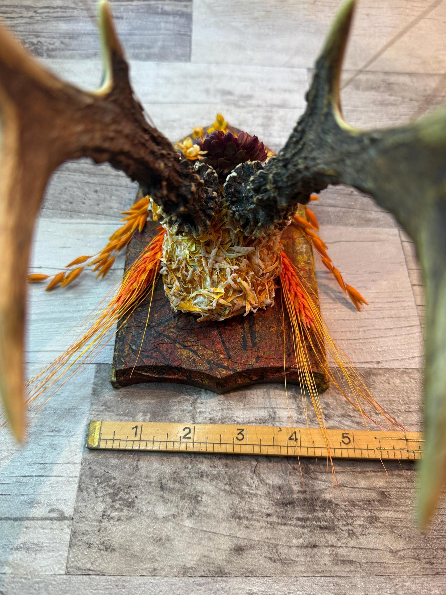 Dried Flowers Decorated Deer Skull Wall Decor Responsibly Sourced Orange Yellow - Ceredigion Dreadlocks
