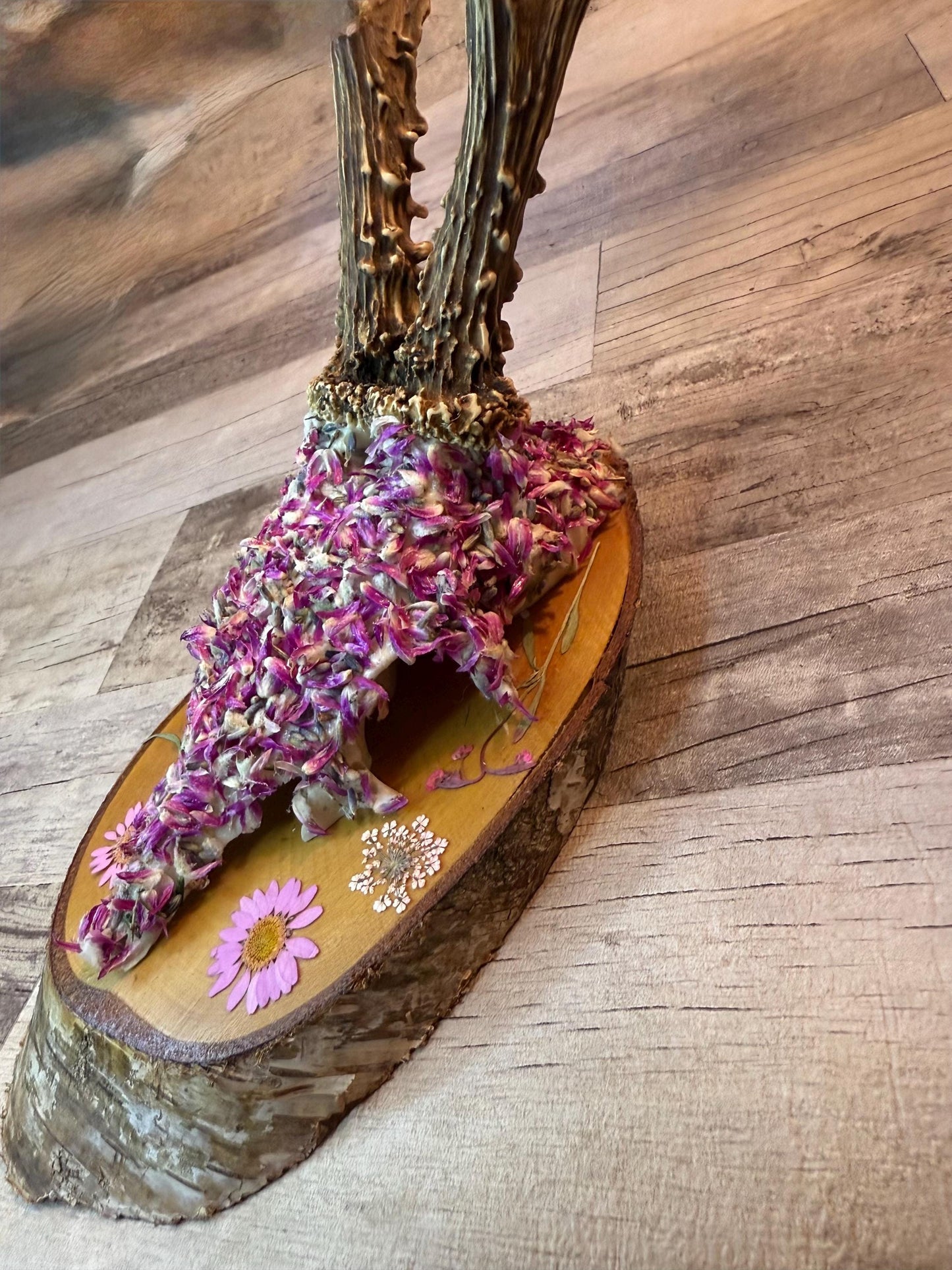 Dried Flowers Decorated Deer Skull Wall Decor Responsibly Sourced Pink Purple Lavender - Ceredigion Dreadlocks