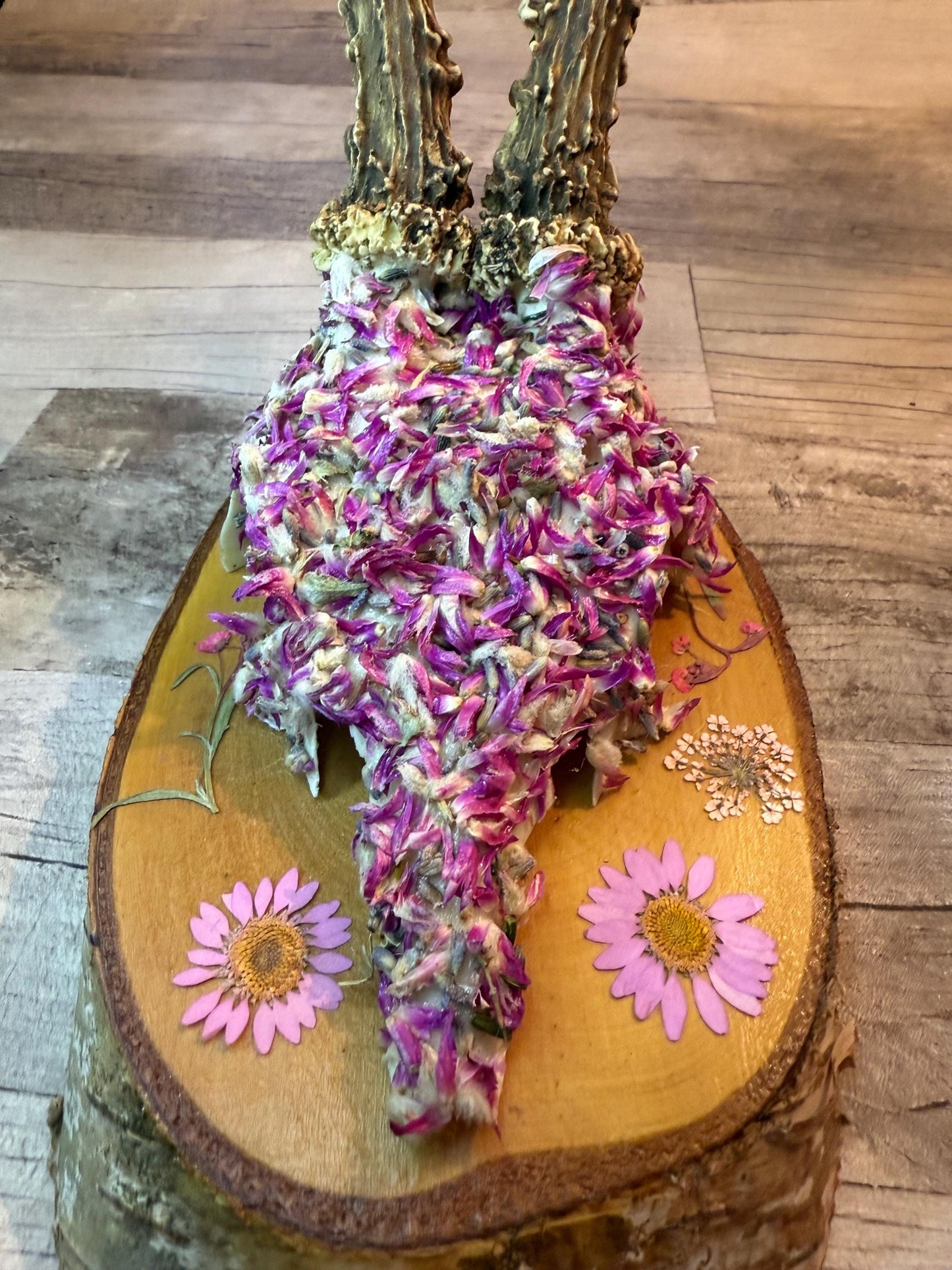 Dried Flowers Decorated Deer Skull Wall Decor Responsibly Sourced Pink Purple Lavender - Ceredigion Dreadlocks