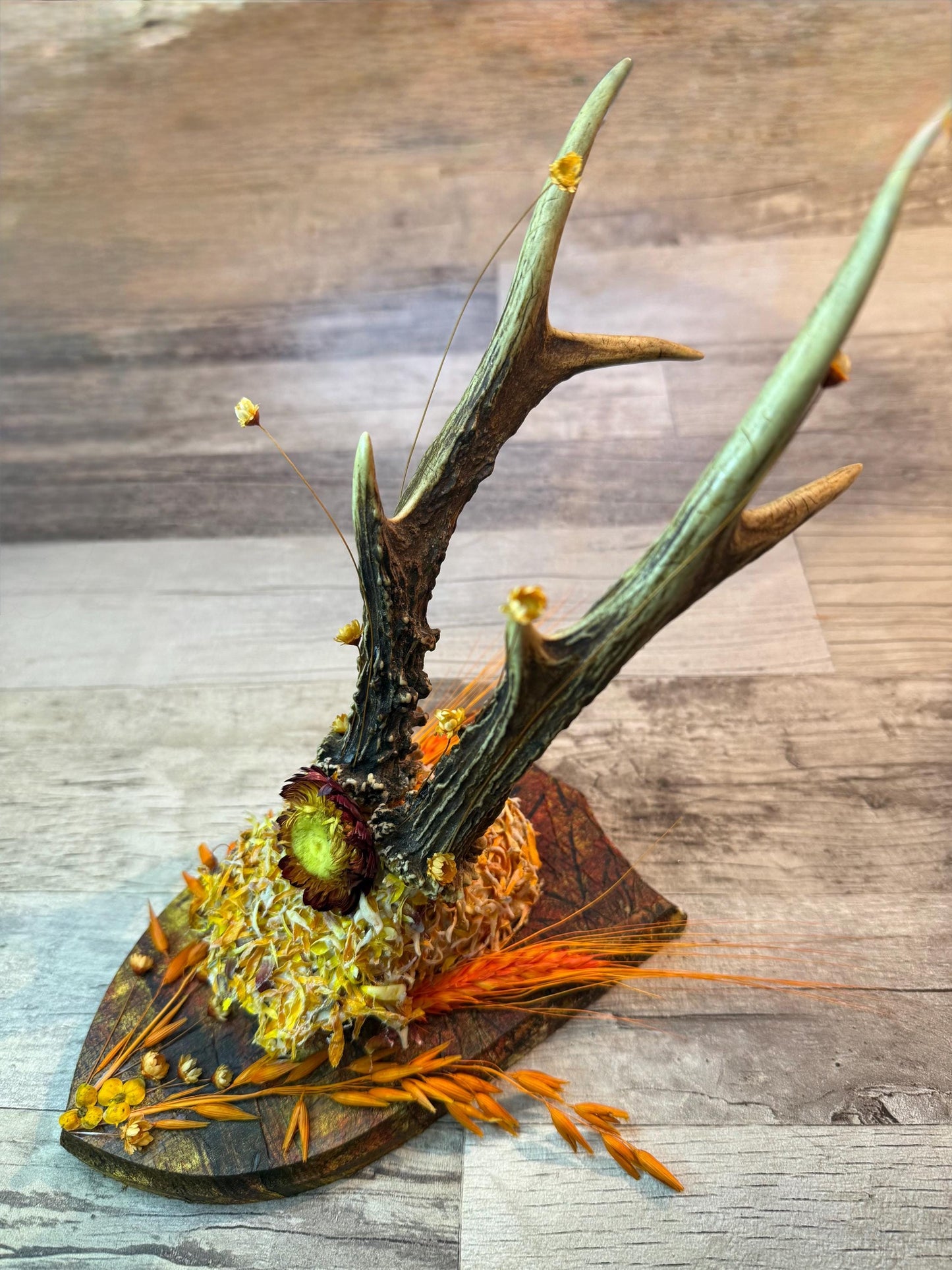 Dried Flowers Decorated Deer Skull Wall Decor Responsibly Sourced Orange Yellow - Ceredigion Dreadlocks