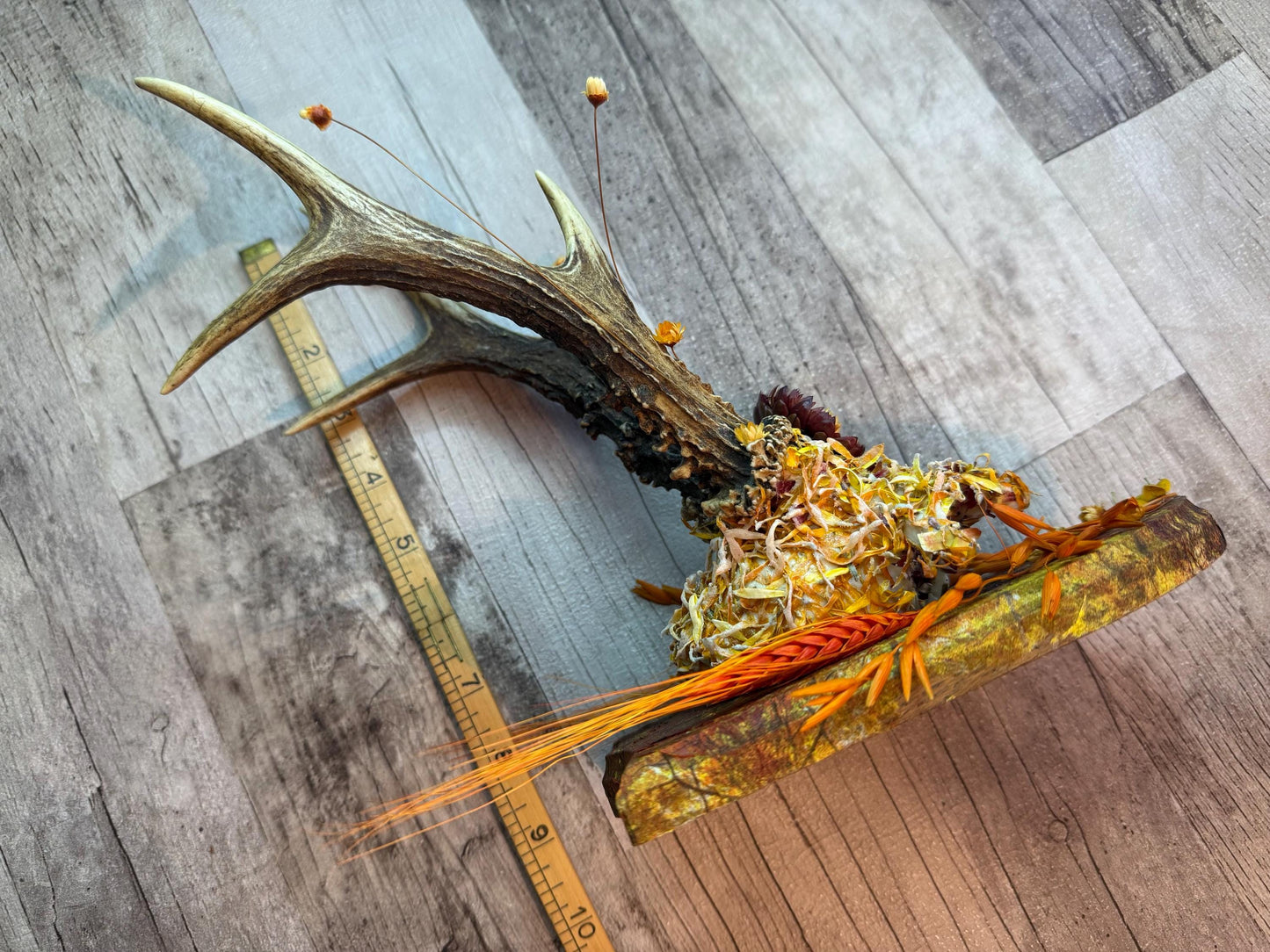 Dried Flowers Decorated Deer Skull Wall Decor Responsibly Sourced Orange Yellow - Ceredigion Dreadlocks
