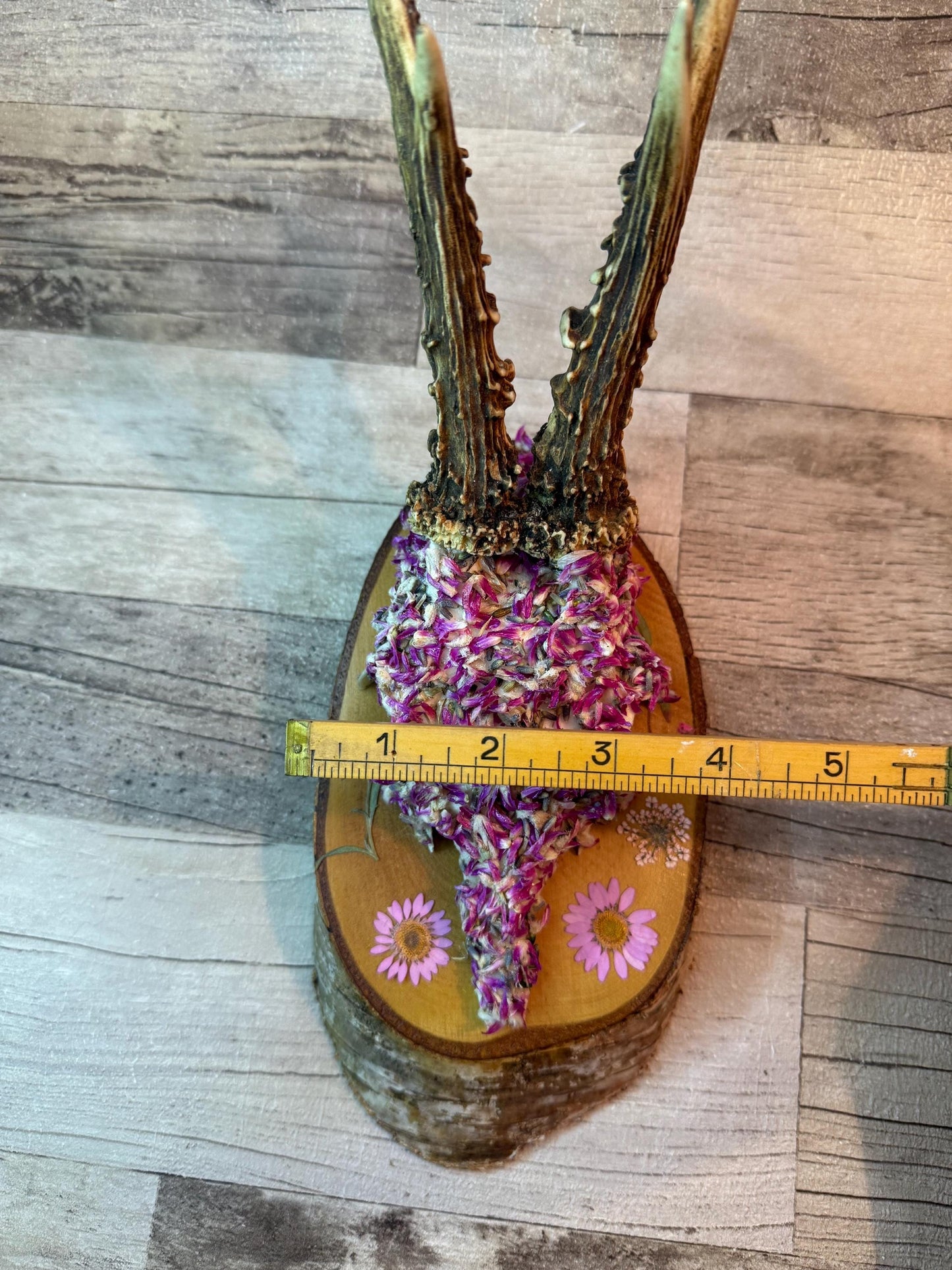 Dried Flowers Decorated Deer Skull Wall Decor Responsibly Sourced Pink Purple Lavender - Ceredigion Dreadlocks