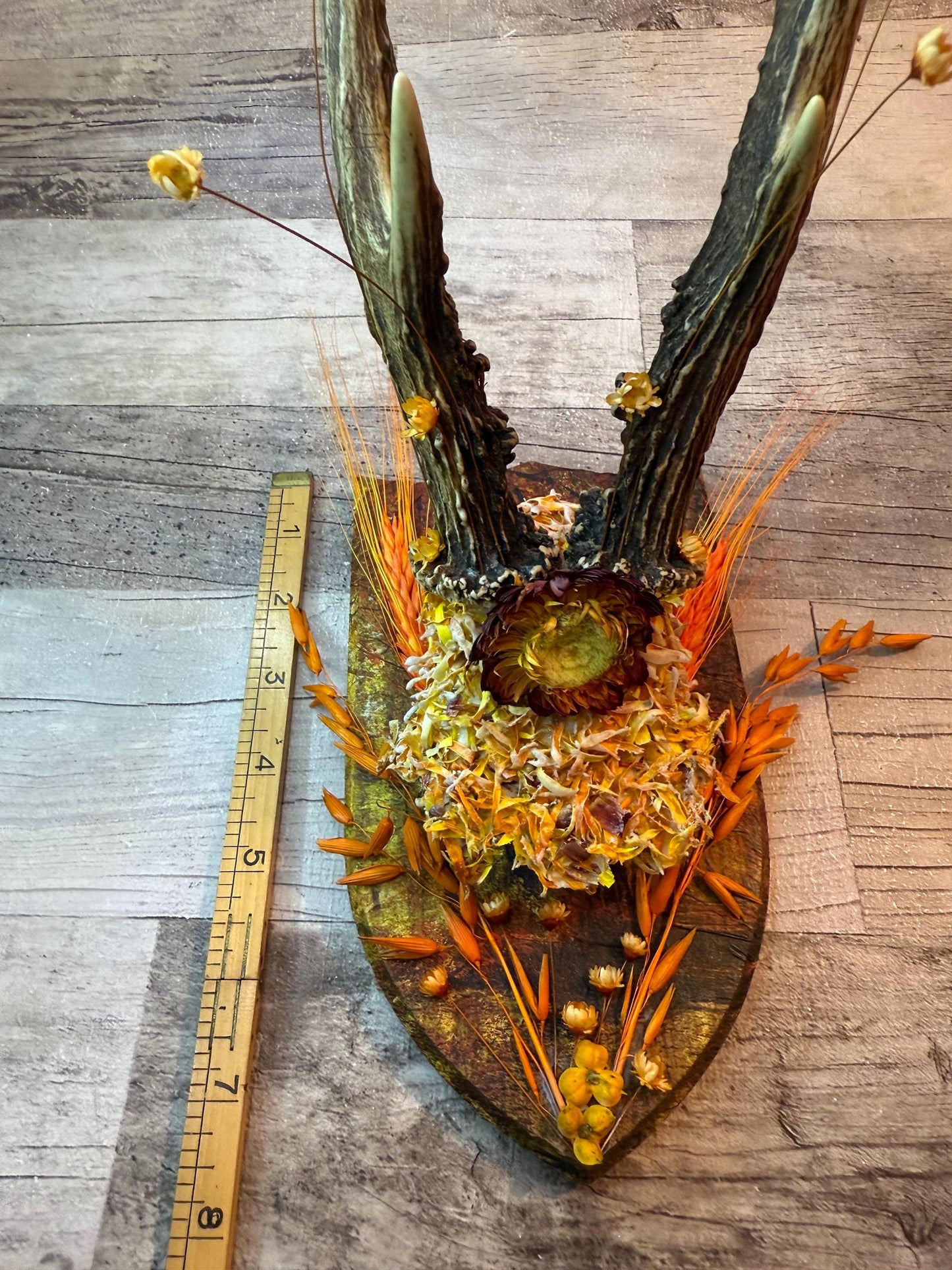 Dried Flowers Decorated Deer Skull Wall Decor Responsibly Sourced Orange Yellow - Ceredigion Dreadlocks