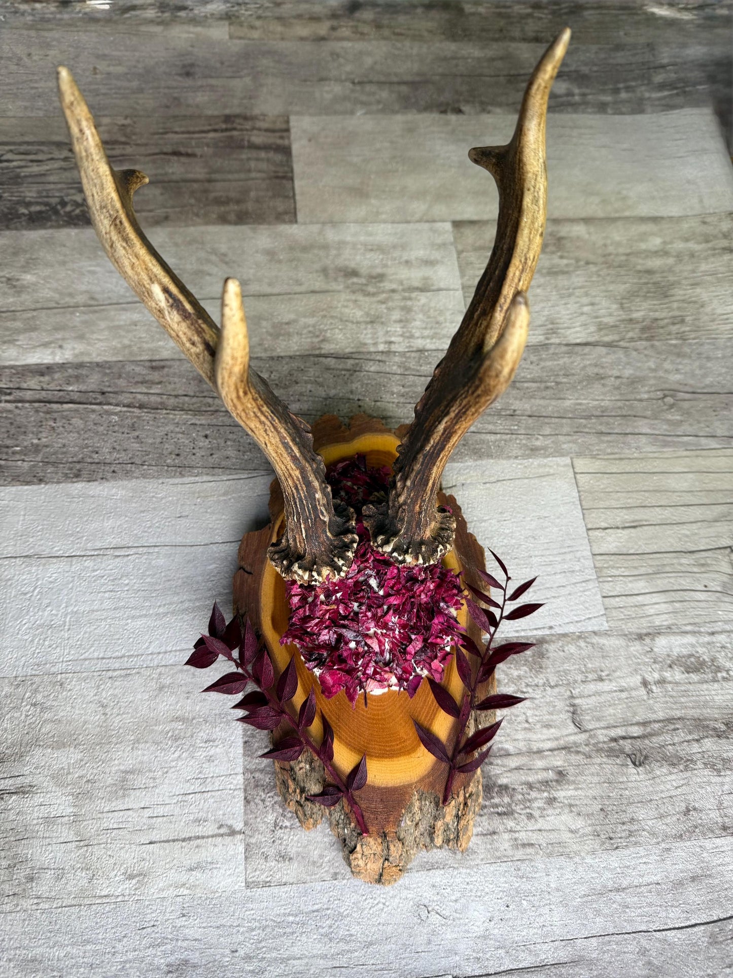 Dried Flowers Decorated Deer Skull Wall Decor Responsibly Sourced Plum Rose