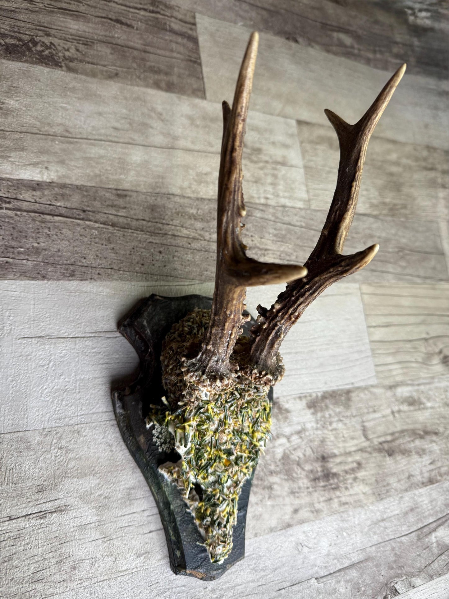 Dried Flowers Decorated Deer Skull Wall Decor Responsibly Sourced Green