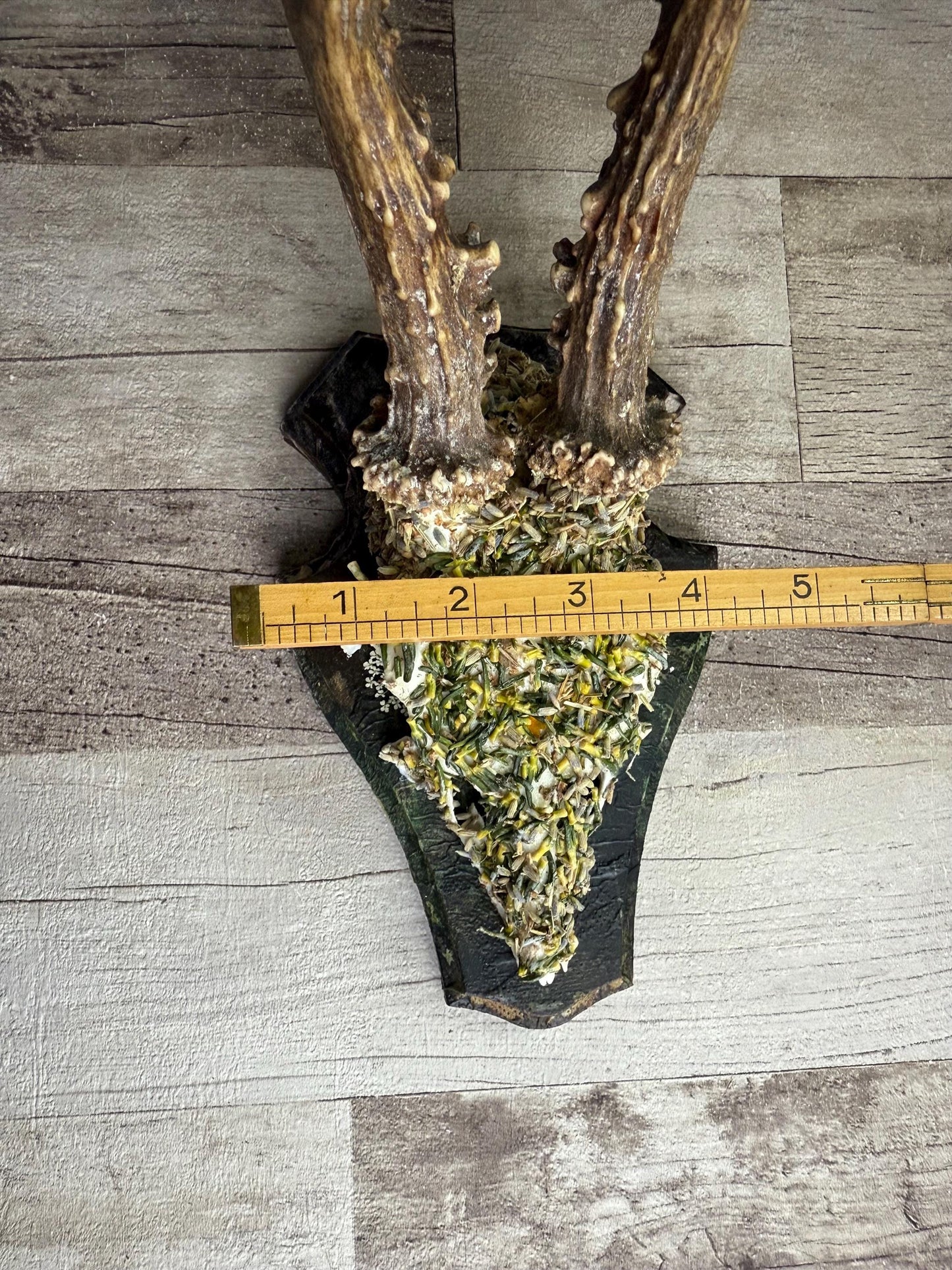 Dried Flowers Decorated Deer Skull Wall Decor Responsibly Sourced Green