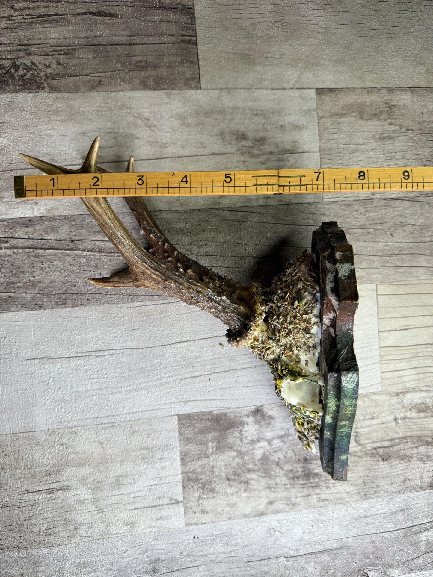 Dried Flowers Decorated Deer Skull Wall Decor Responsibly Sourced Green