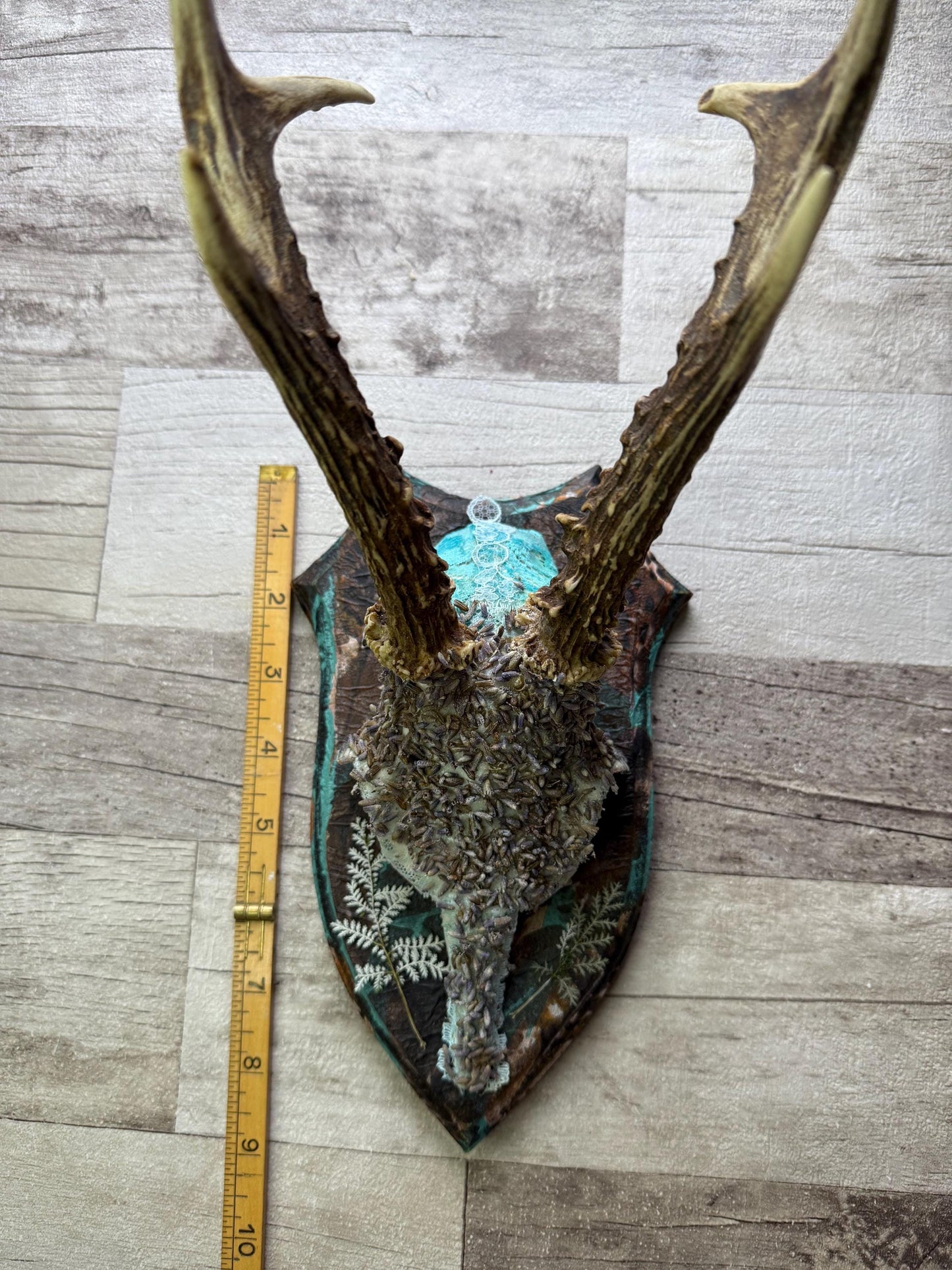 Dried Flowers Decorated Deer Skull Wall Decor Responsibly Sourced Blue