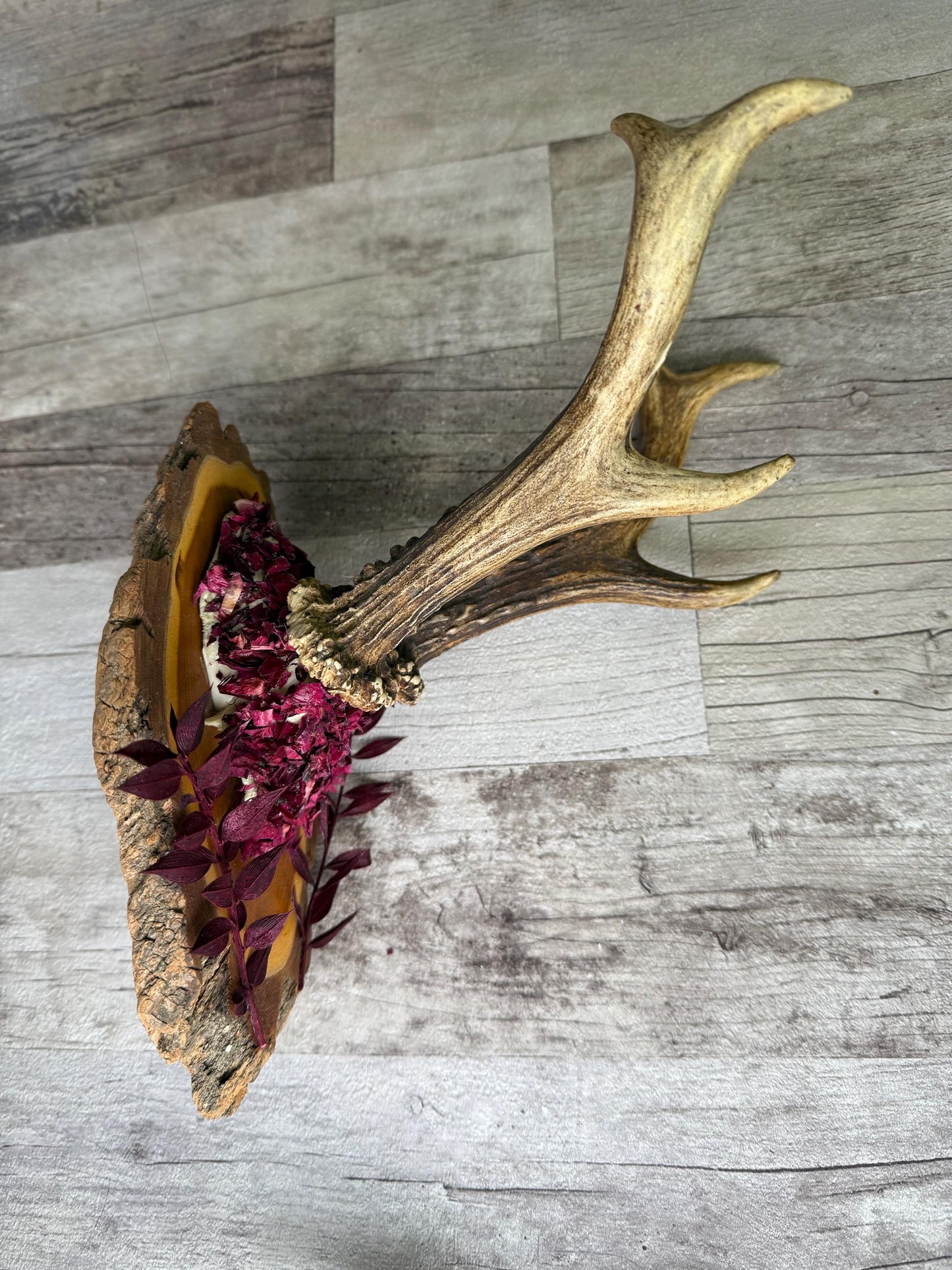Dried Flowers Decorated Deer Skull Wall Decor Responsibly Sourced Plum Rose