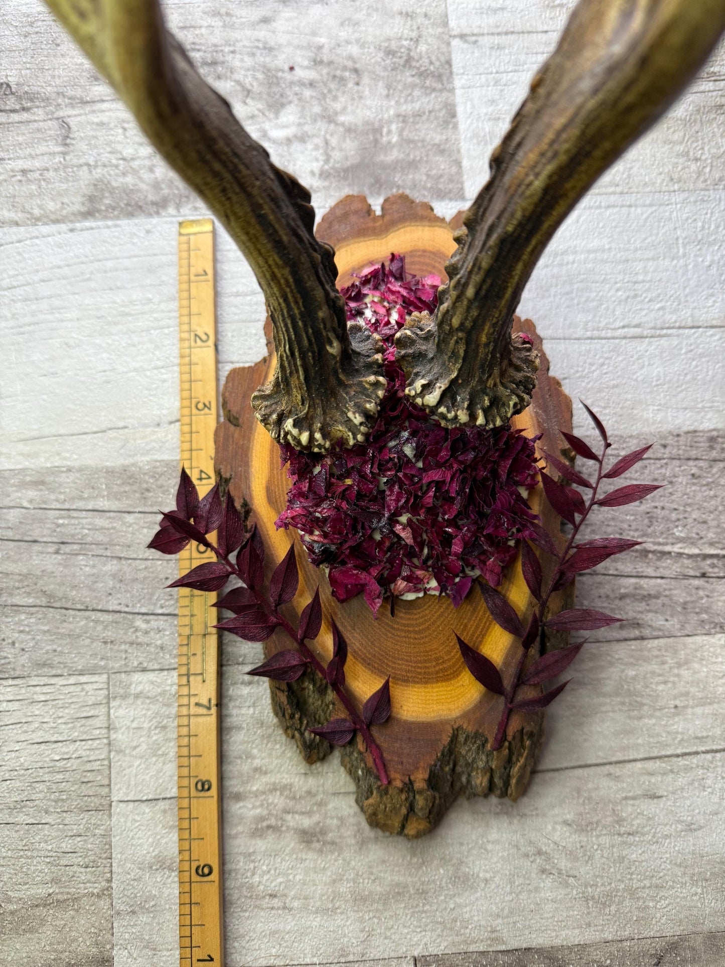 Dried Flowers Decorated Deer Skull Wall Decor Responsibly Sourced Plum Rose