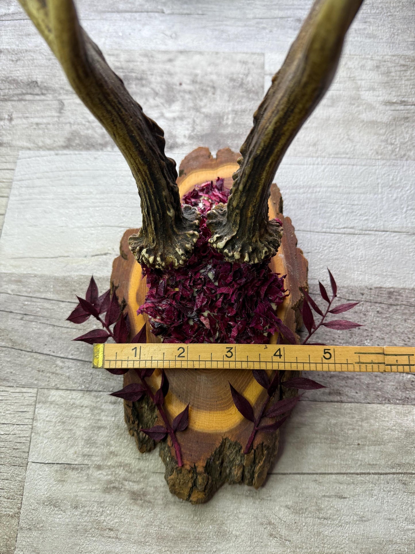 Dried Flowers Decorated Deer Skull Wall Decor Responsibly Sourced Plum Rose