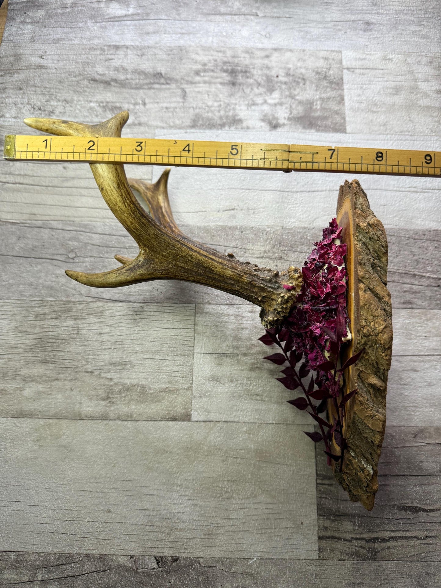 Dried Flowers Decorated Deer Skull Wall Decor Responsibly Sourced Plum Rose
