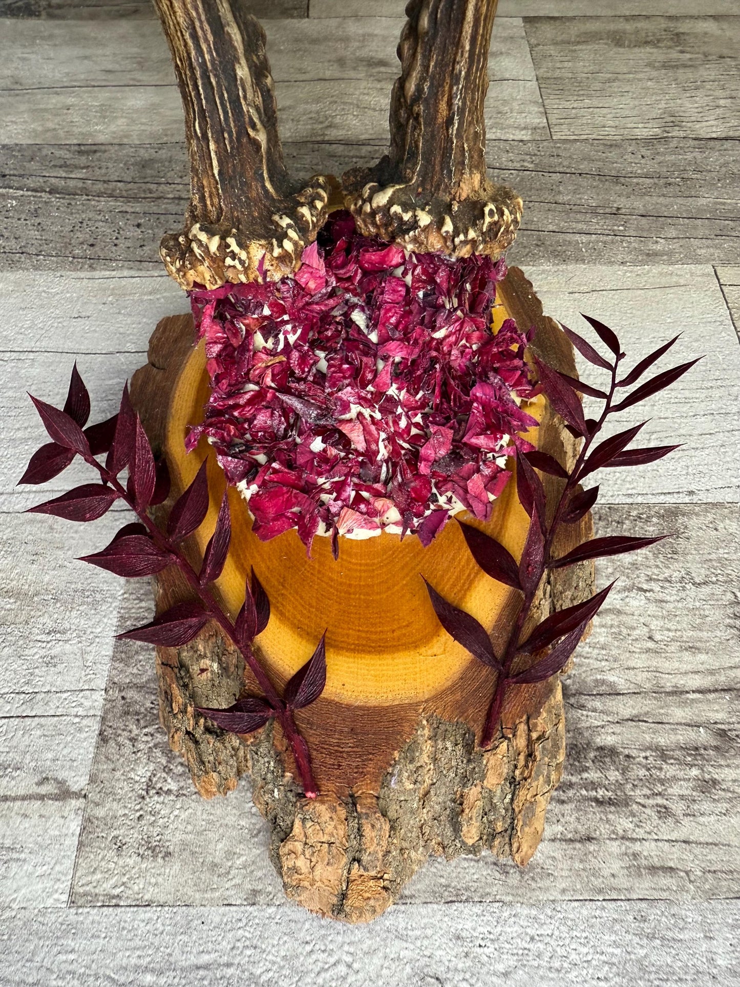 Dried Flowers Decorated Deer Skull Wall Decor Responsibly Sourced Plum Rose