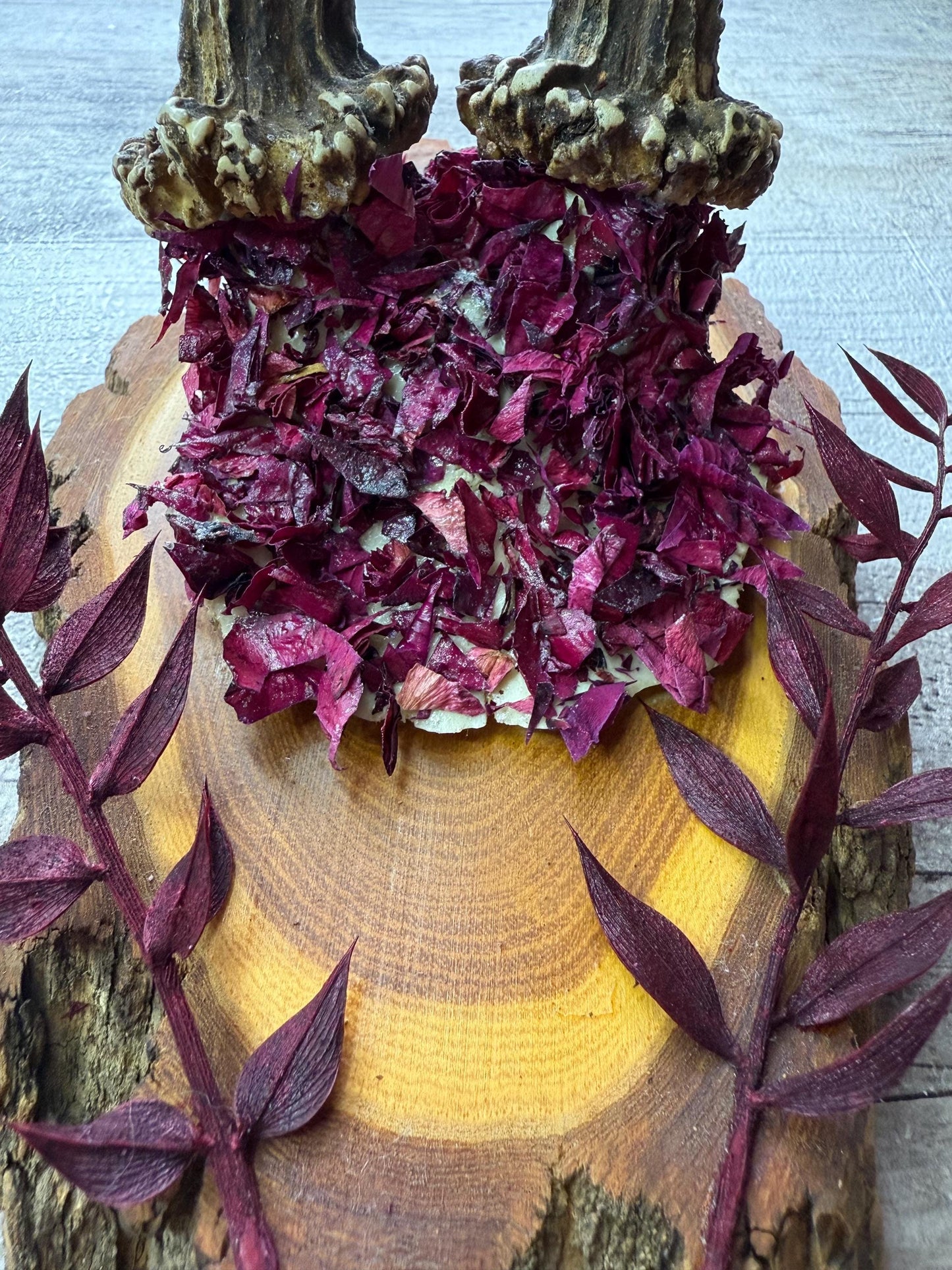Dried Flowers Decorated Deer Skull Wall Decor Responsibly Sourced Plum Rose