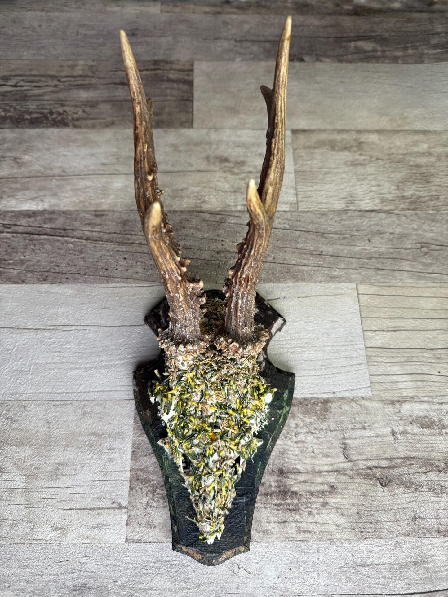 Dried Flowers Decorated Deer Skull Wall Decor Responsibly Sourced Green