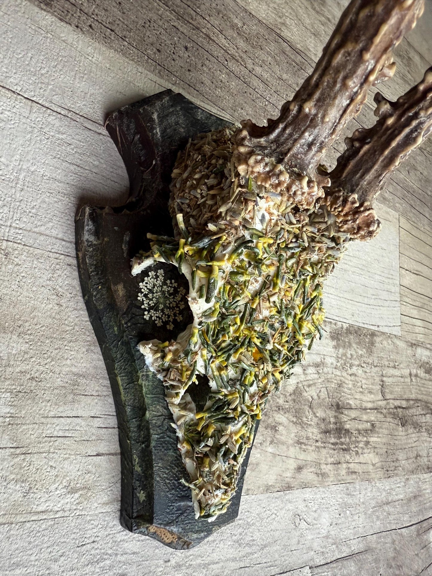Dried Flowers Decorated Deer Skull Wall Decor Responsibly Sourced Green