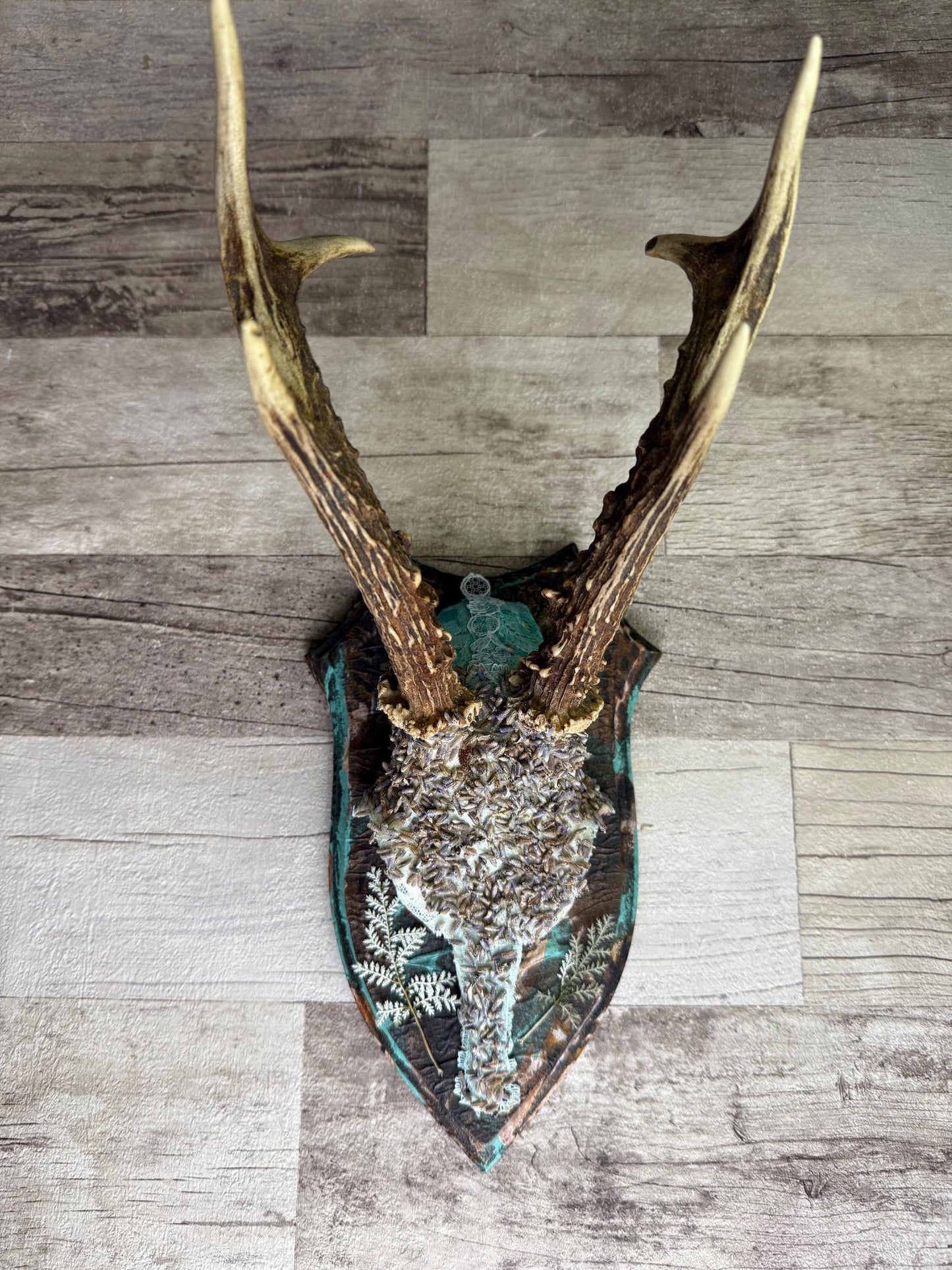 Dried Flowers Decorated Deer Skull Wall Decor Responsibly Sourced Blue