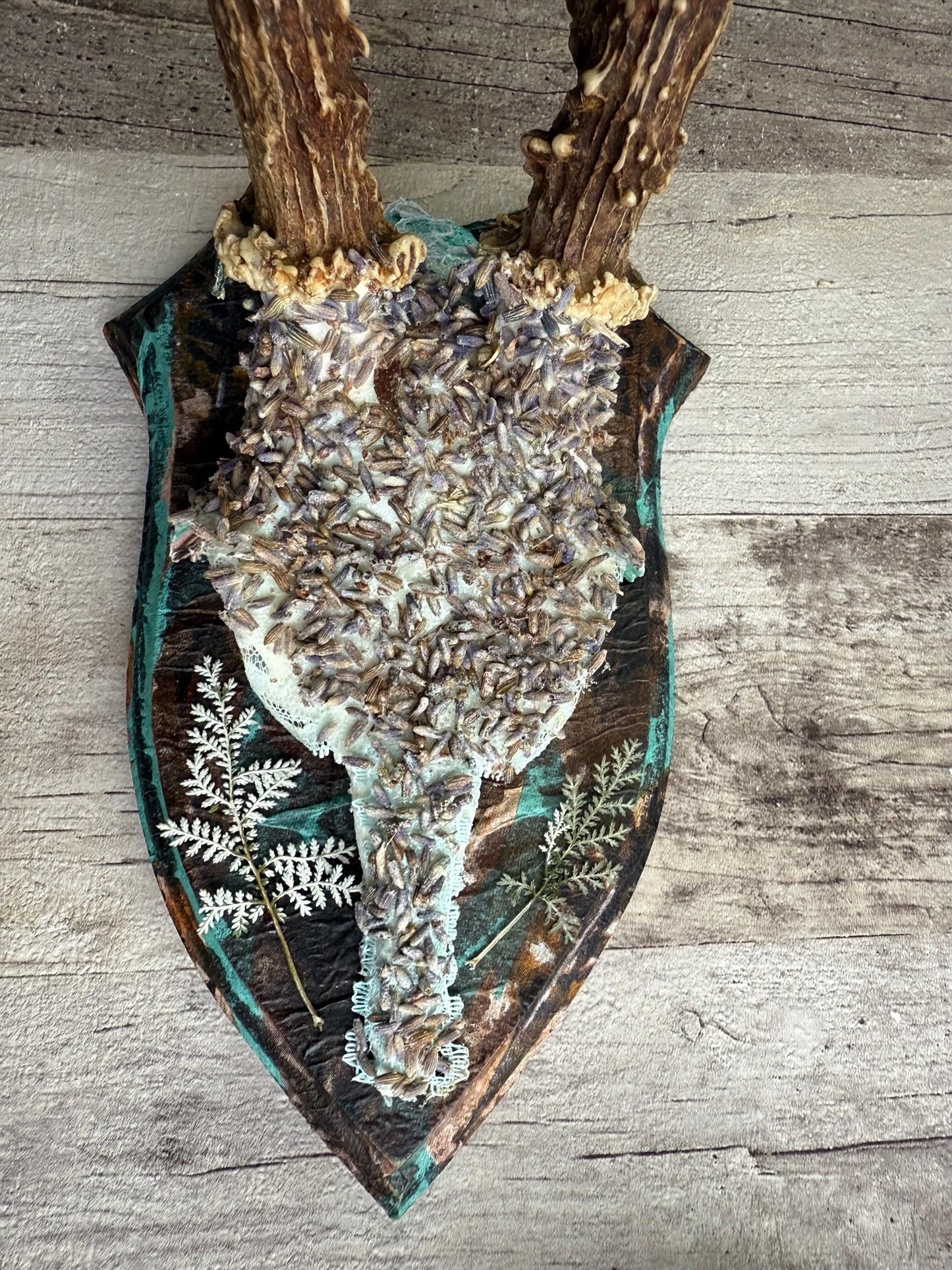 Dried Flowers Decorated Deer Skull Wall Decor Responsibly Sourced Blue