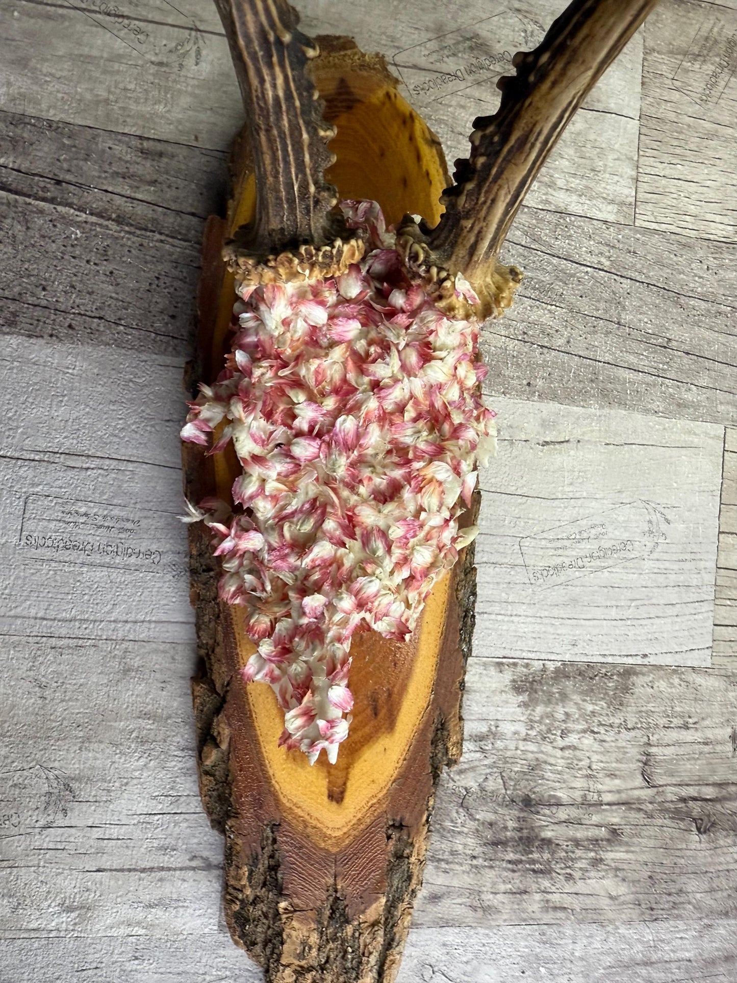 Dried Flowers Decorated Deer Skull Wall Decor Responsibly Sourced Pink White
