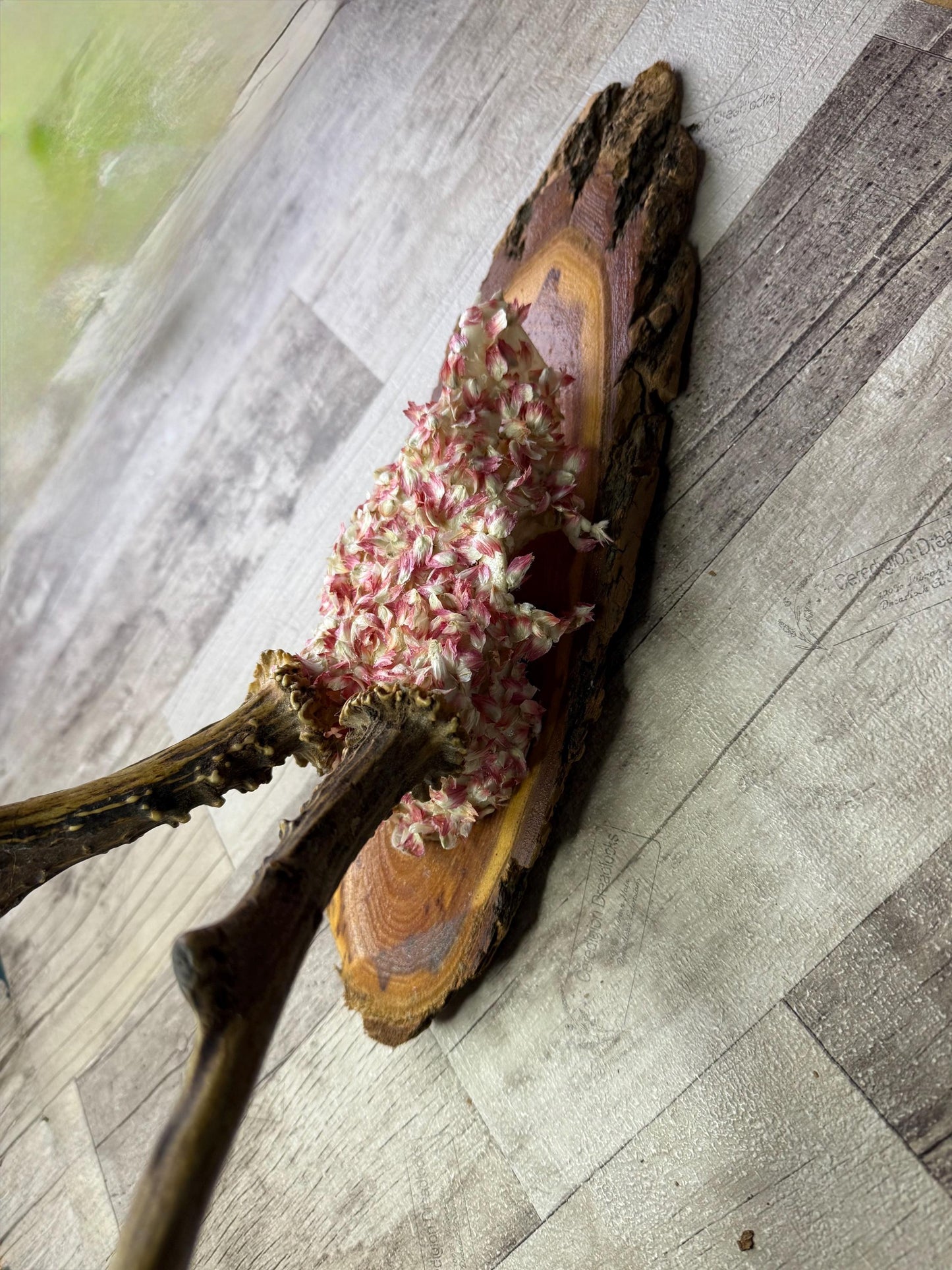Dried Flowers Decorated Deer Skull Wall Decor Responsibly Sourced Pink White