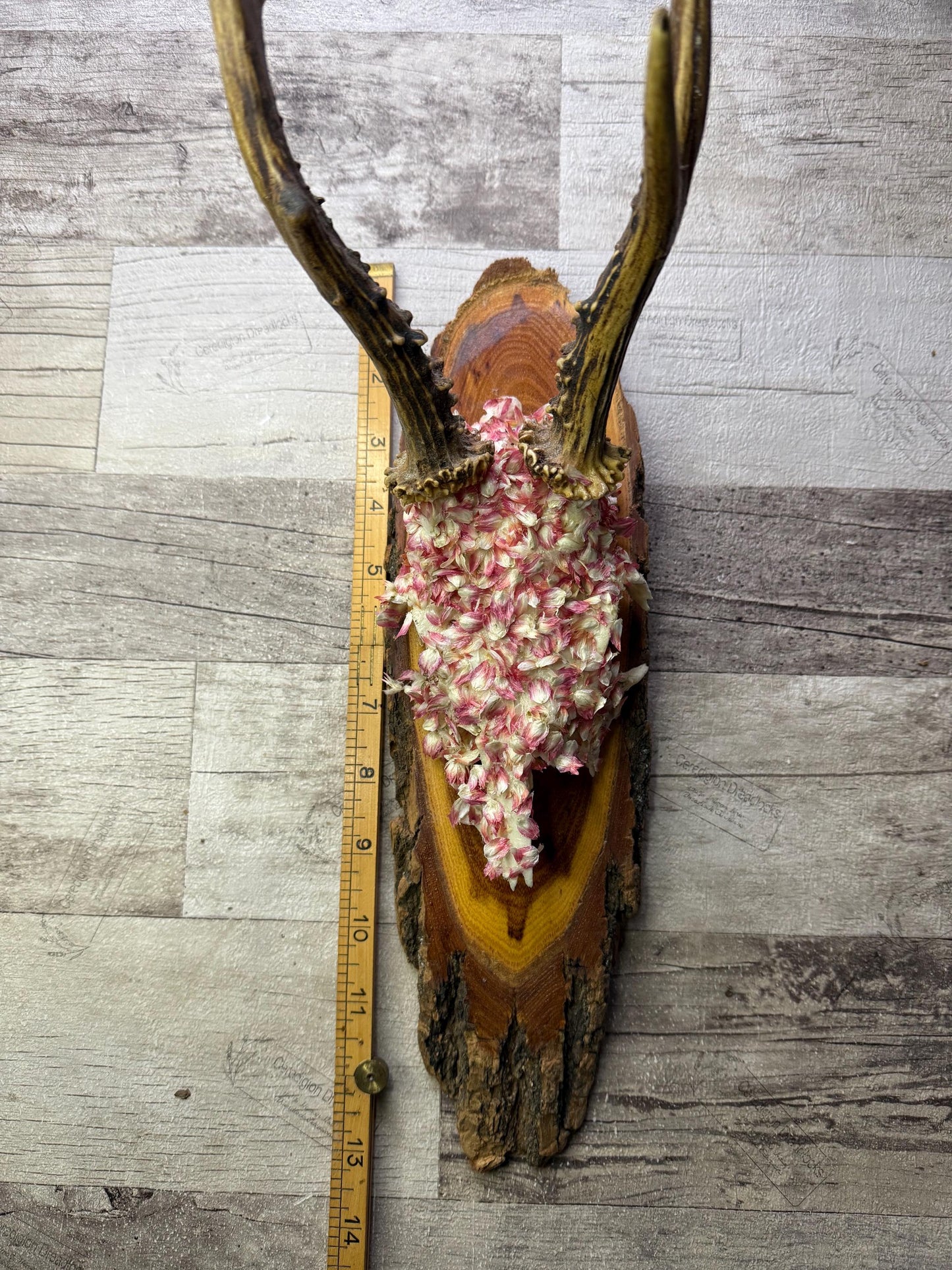 Dried Flowers Decorated Deer Skull Wall Decor Responsibly Sourced Pink White