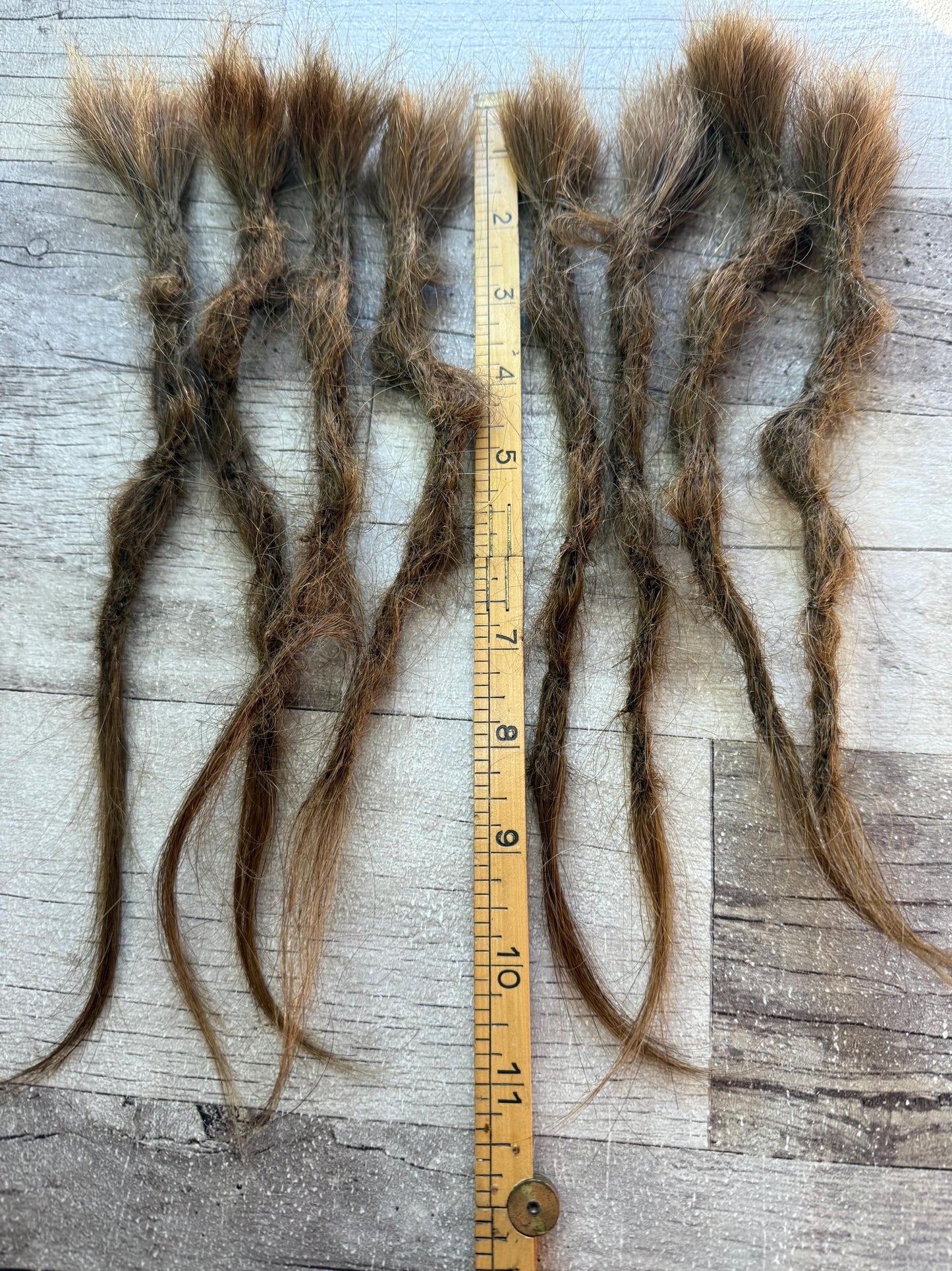x8 100% Human Hair Dreadlock Extensions Brown 12 Inch Bumpy