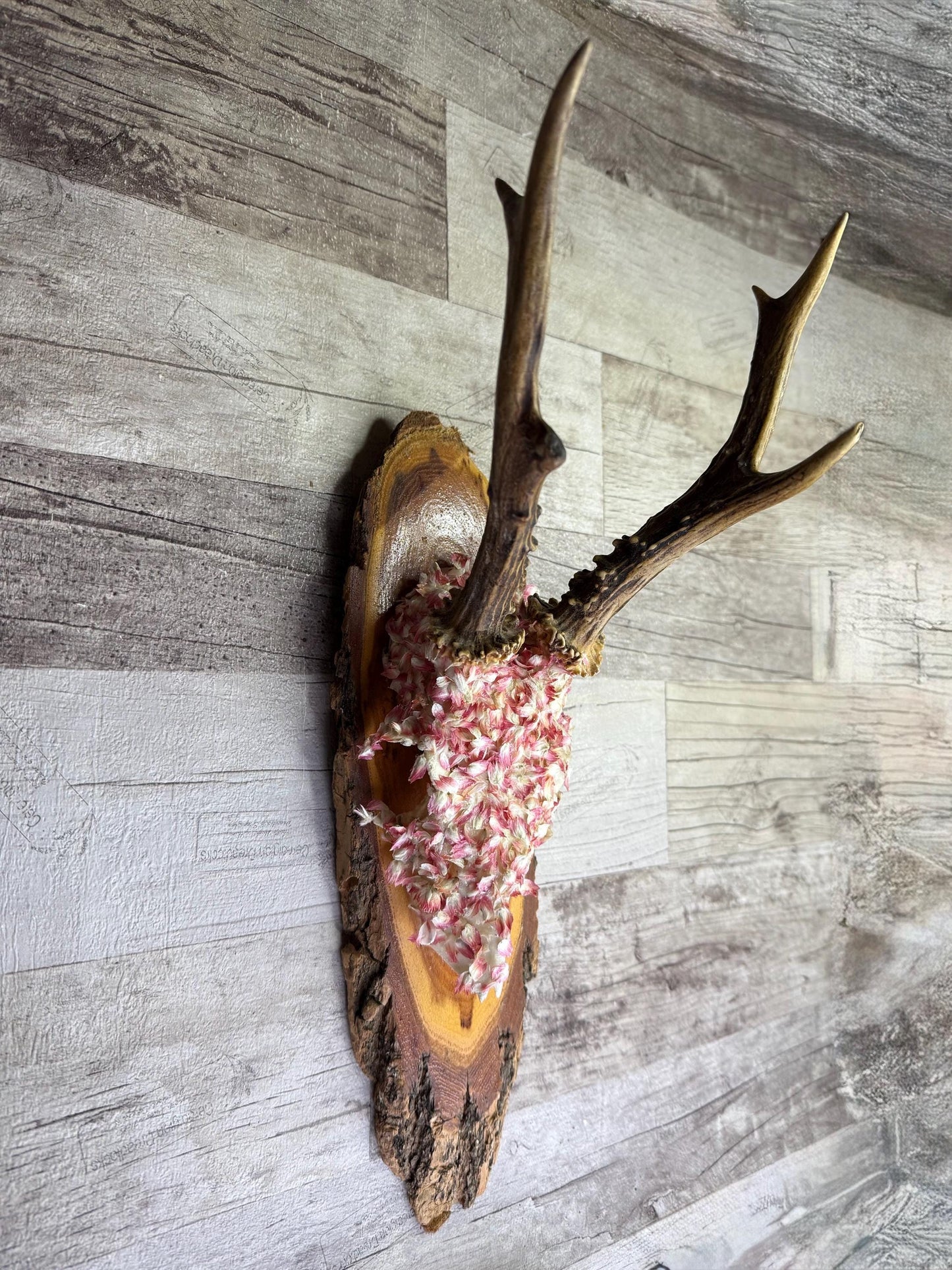 Dried Flowers Decorated Deer Skull Wall Decor Responsibly Sourced Pink White
