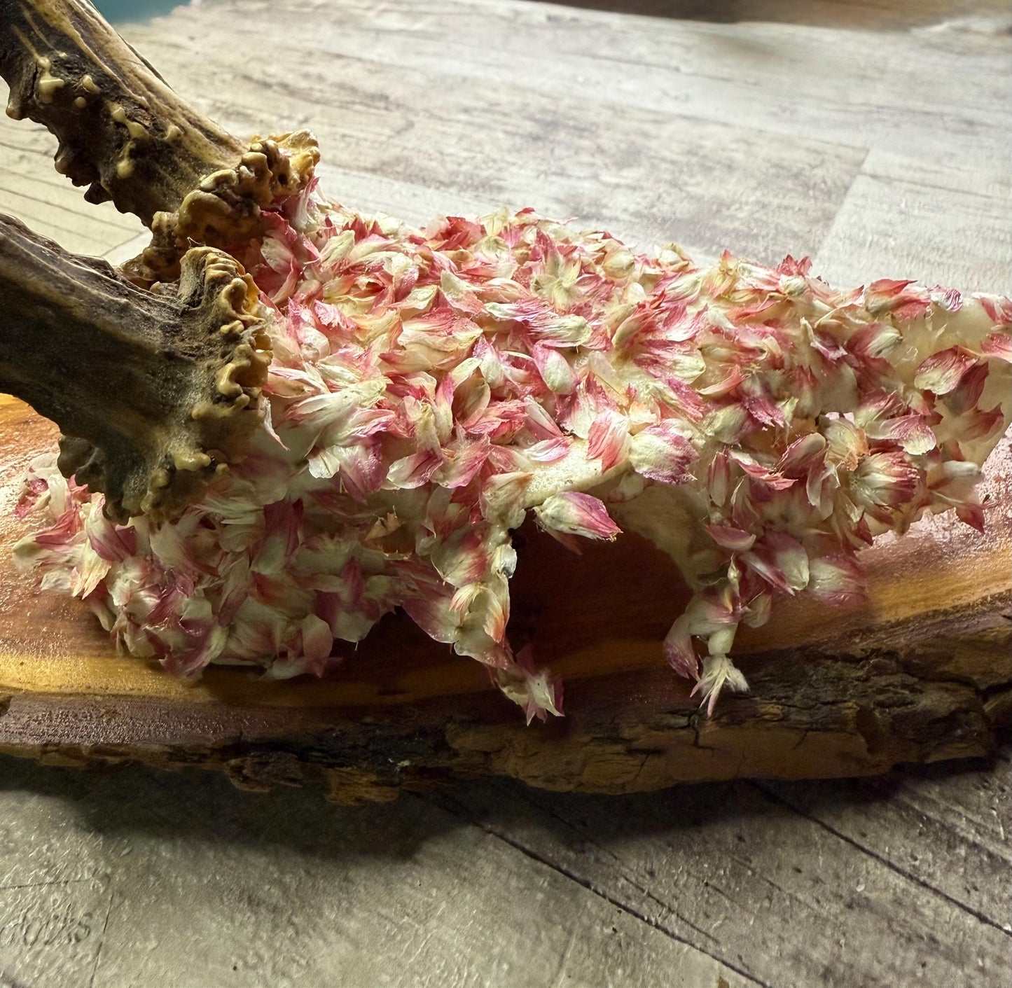 Dried Flowers Decorated Deer Skull Wall Decor Responsibly Sourced Pink White