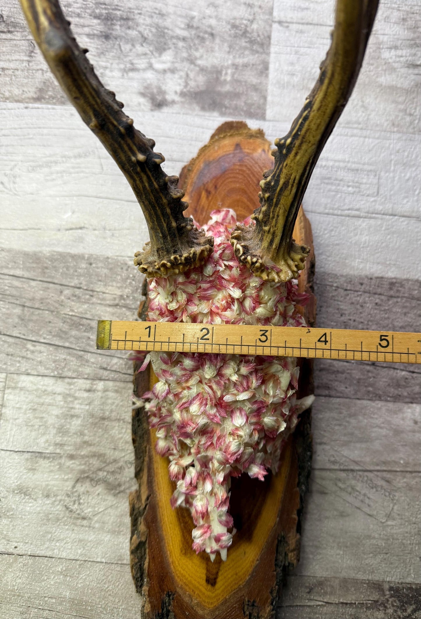 Dried Flowers Decorated Deer Skull Wall Decor Responsibly Sourced Pink White