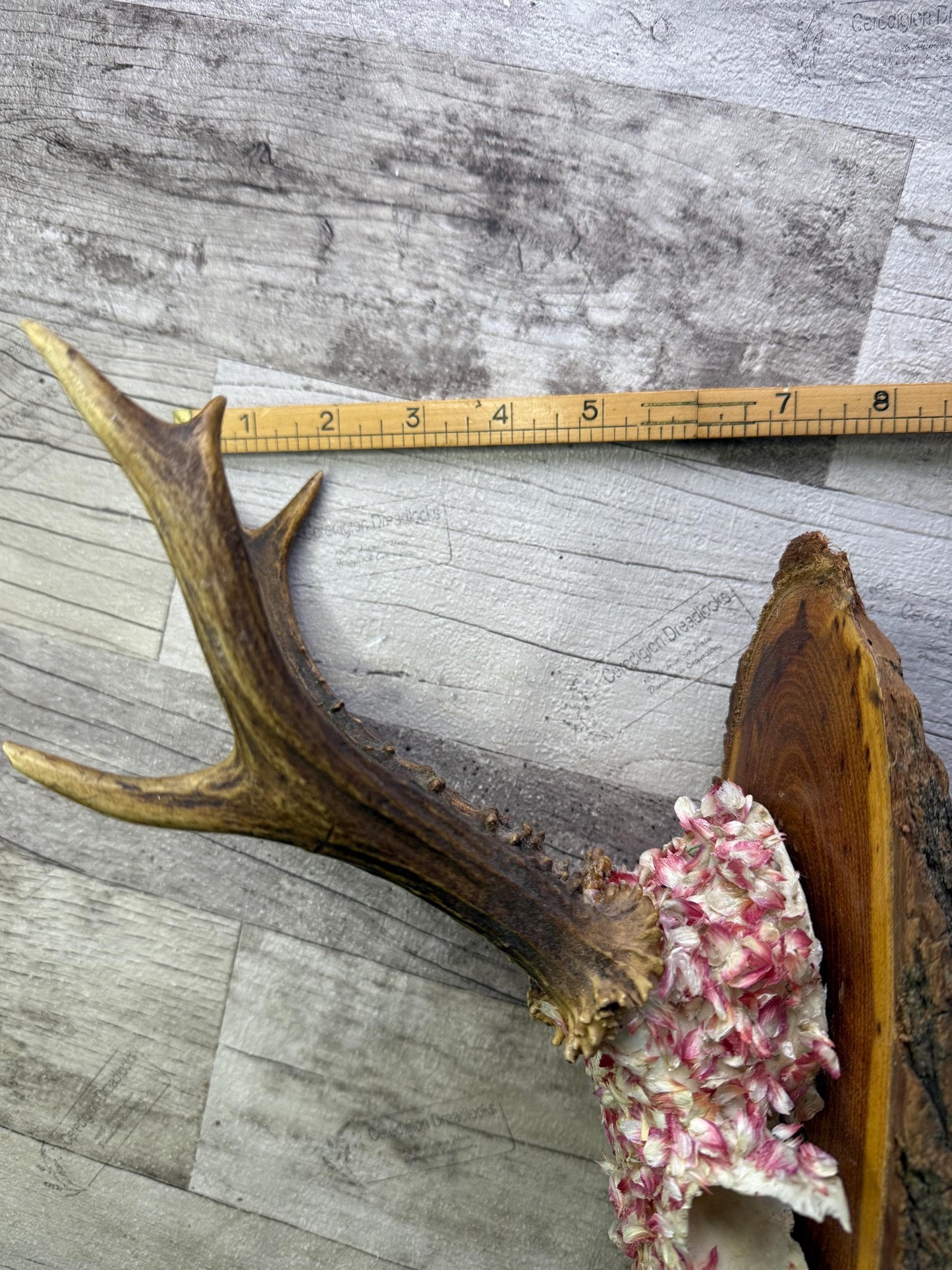 Dried Flowers Decorated Deer Skull Wall Decor Responsibly Sourced Pink White