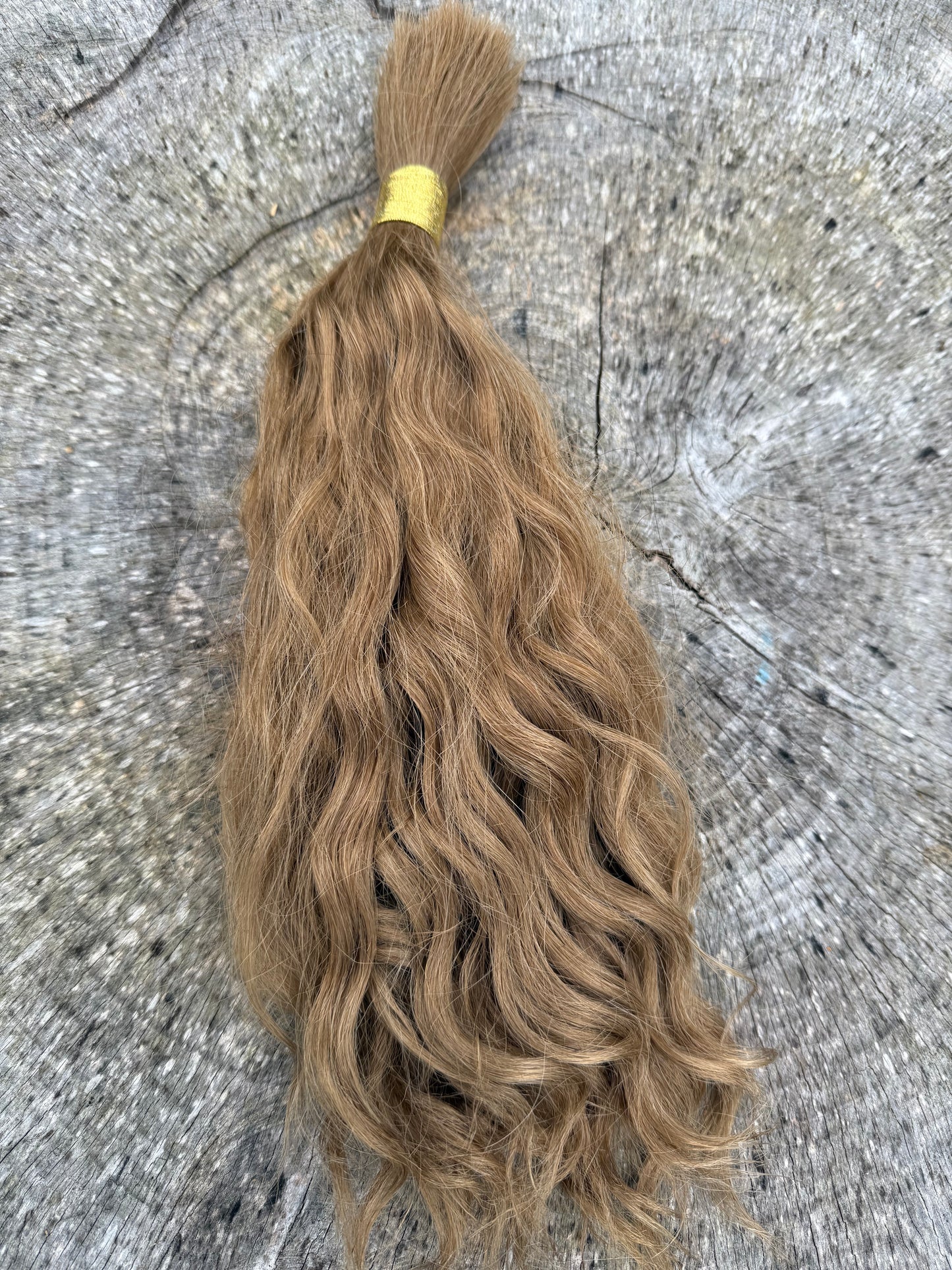Golden Blonde 15 Inch Curly Extensions - Ceredigion Dreadlocks