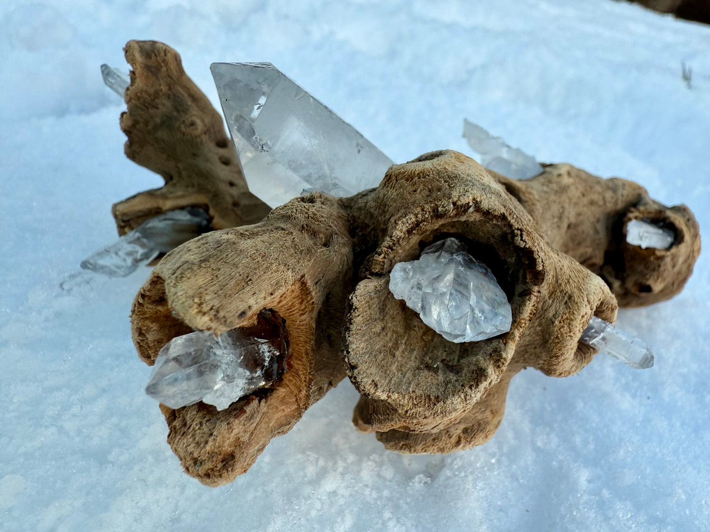 Clear & Faden Quartz Driftwood Sculpture - Ceredigion Dreadlocks
