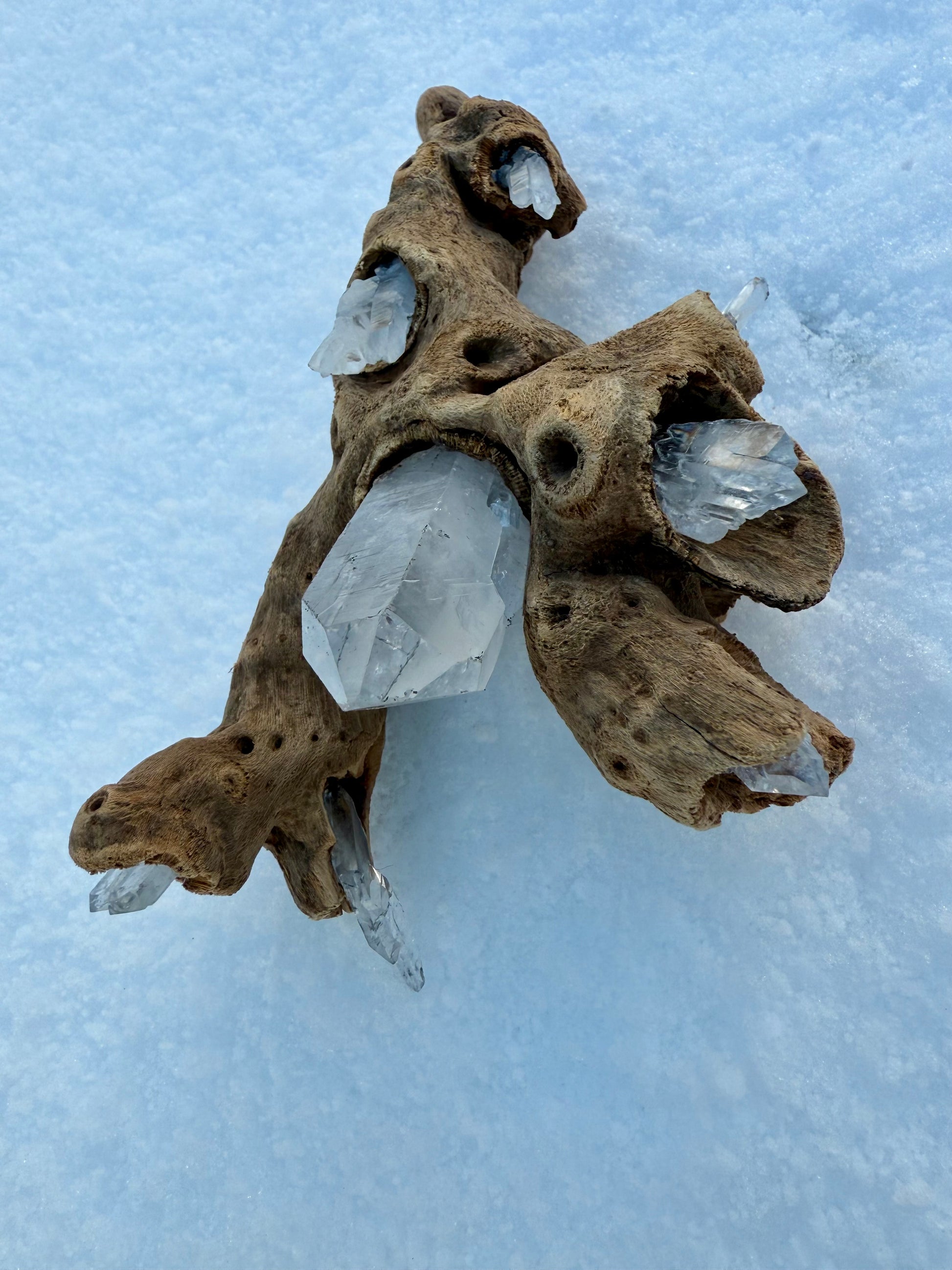 Clear & Faden Quartz Driftwood Sculpture - Ceredigion Dreadlocks