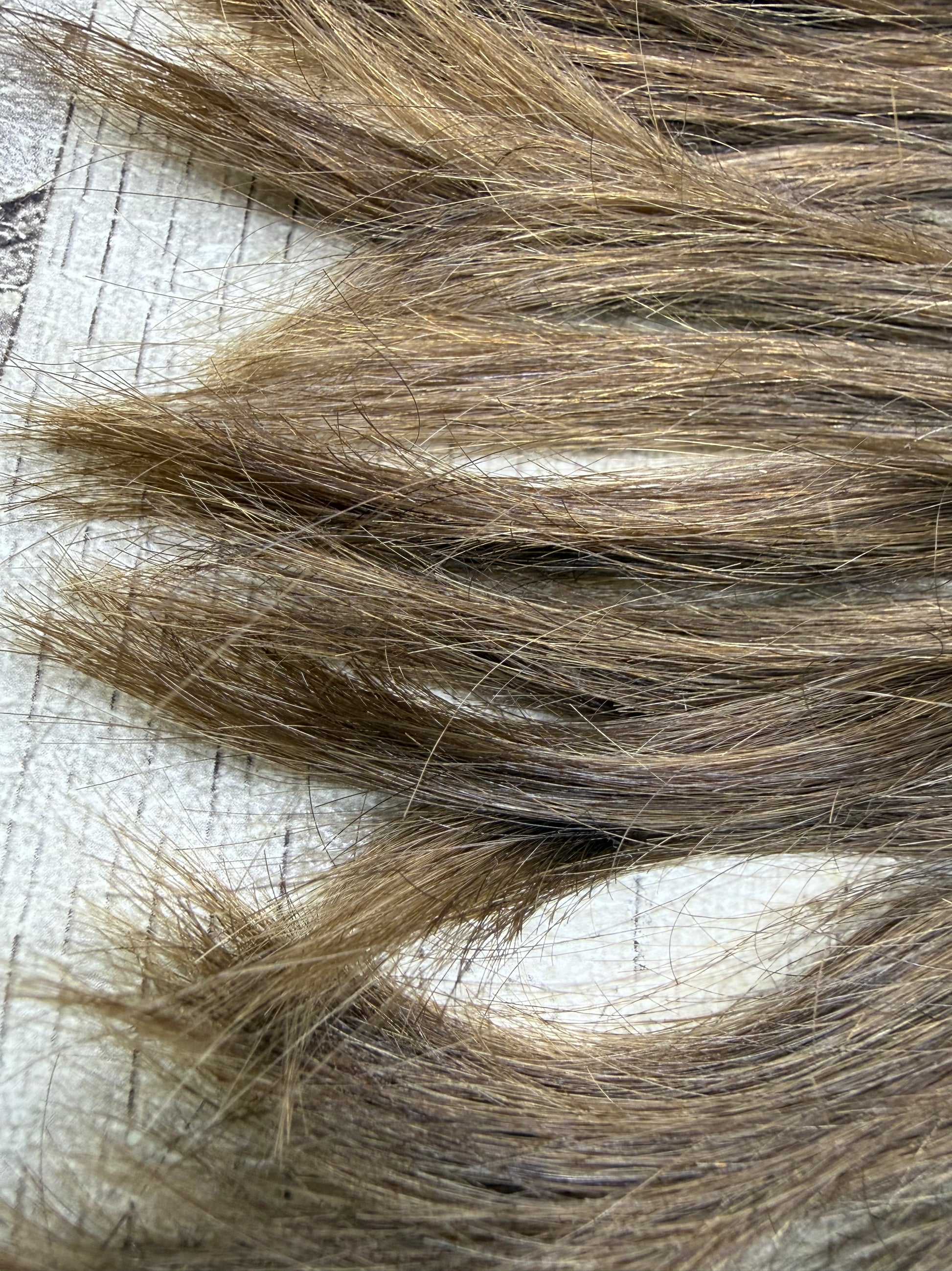 Raw Brown to Blonde 8 Inch Extensions - Ceredigion Dreadlocks