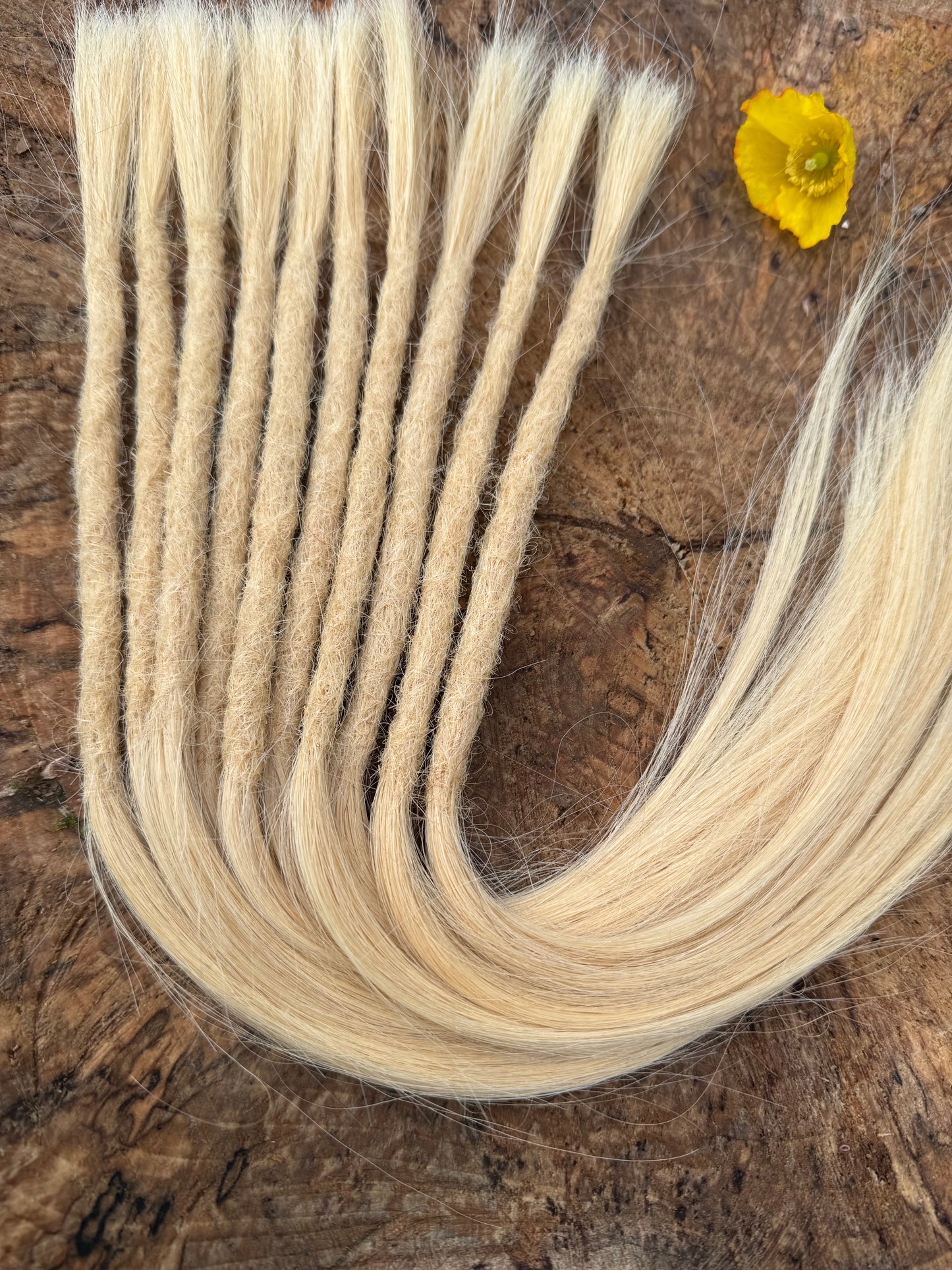 Light Blonde Extensions 18 Inch - Ceredigion Dreadlocks