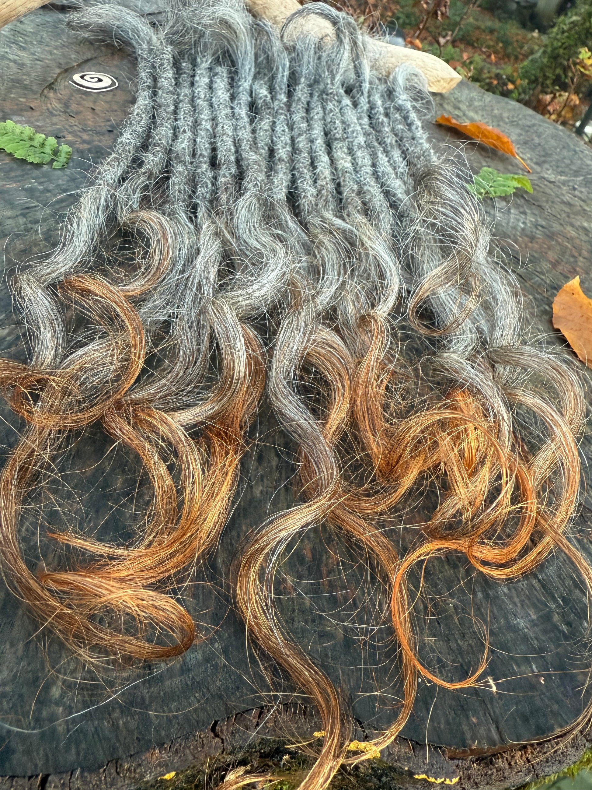 Raw Grey Salt & Pepper 16 inch Extensions - Ceredigion Dreadlocks