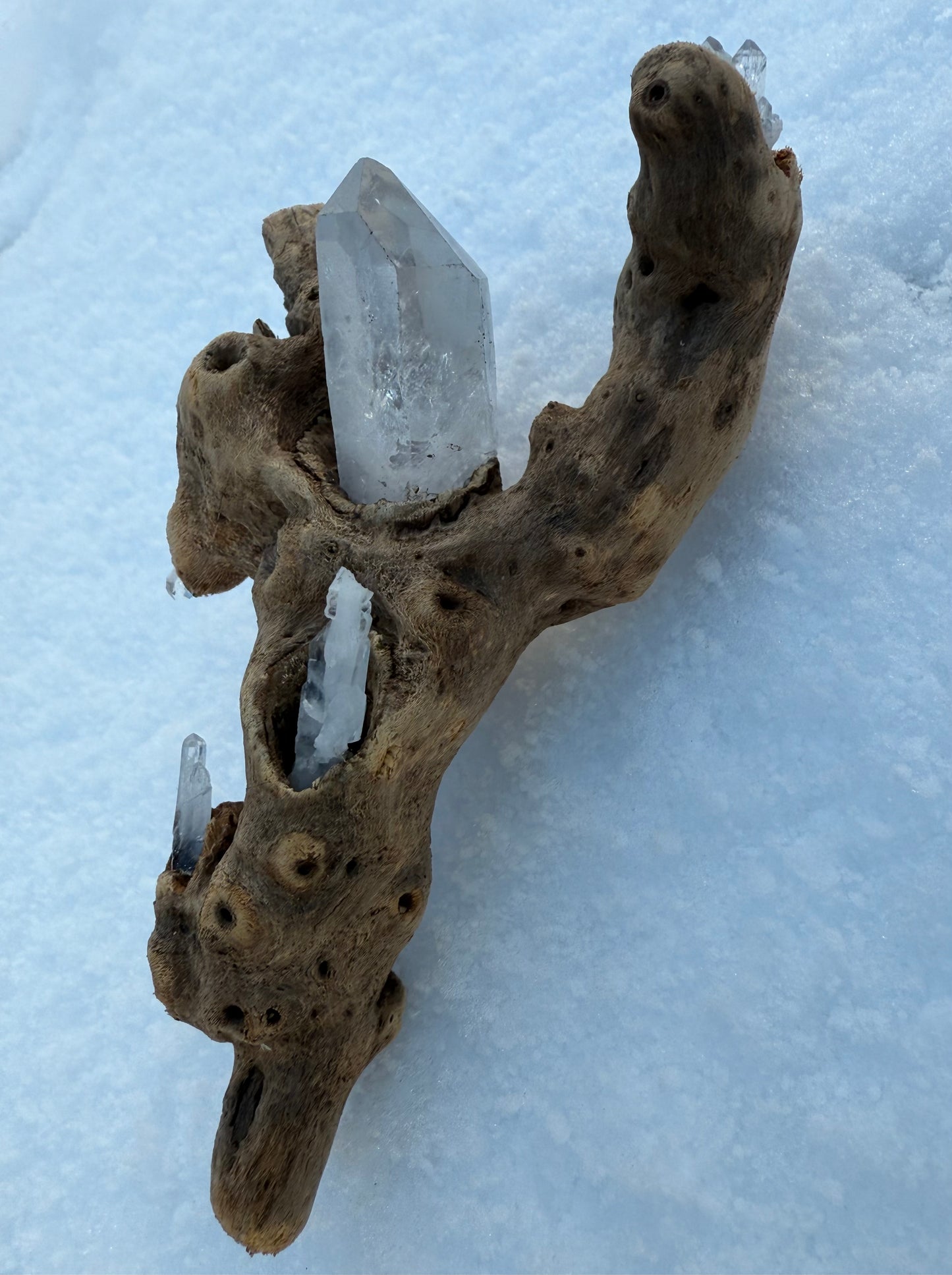 Clear & Faden Quartz Driftwood Sculpture - Ceredigion Dreadlocks