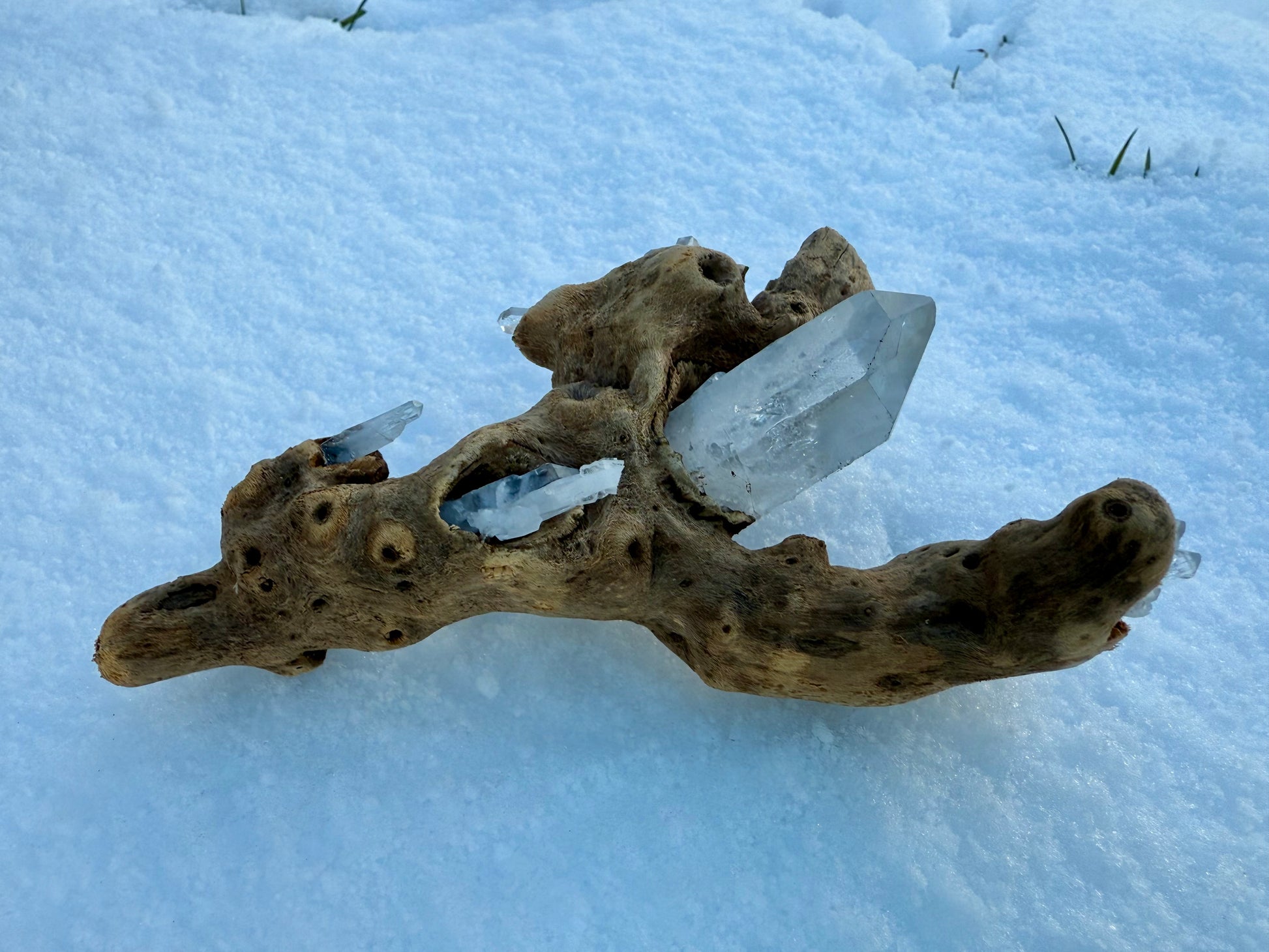Clear & Faden Quartz Driftwood Sculpture - Ceredigion Dreadlocks