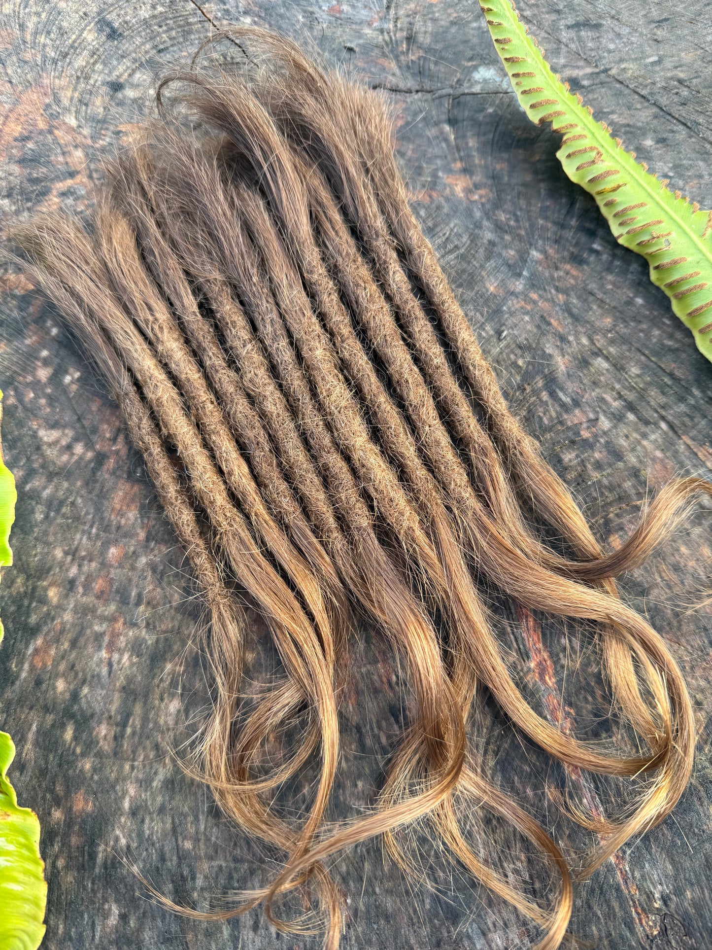 Raw Mixed Brown 10 Inch Wavy - Ceredigion Dreadlocks