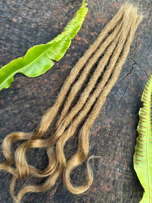 Golden Blonde 15 Inch Curly Extensions - Ceredigion Dreadlocks