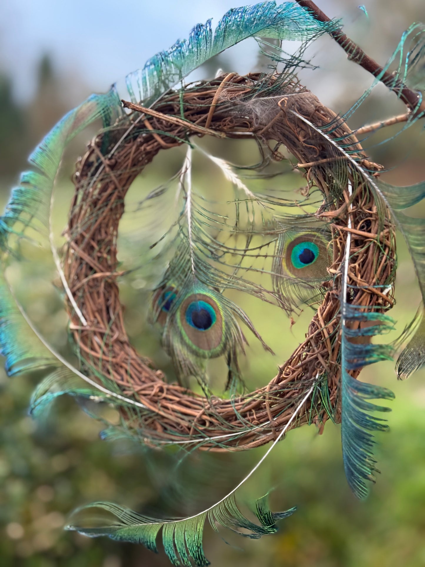 Peacock Feather Wreath