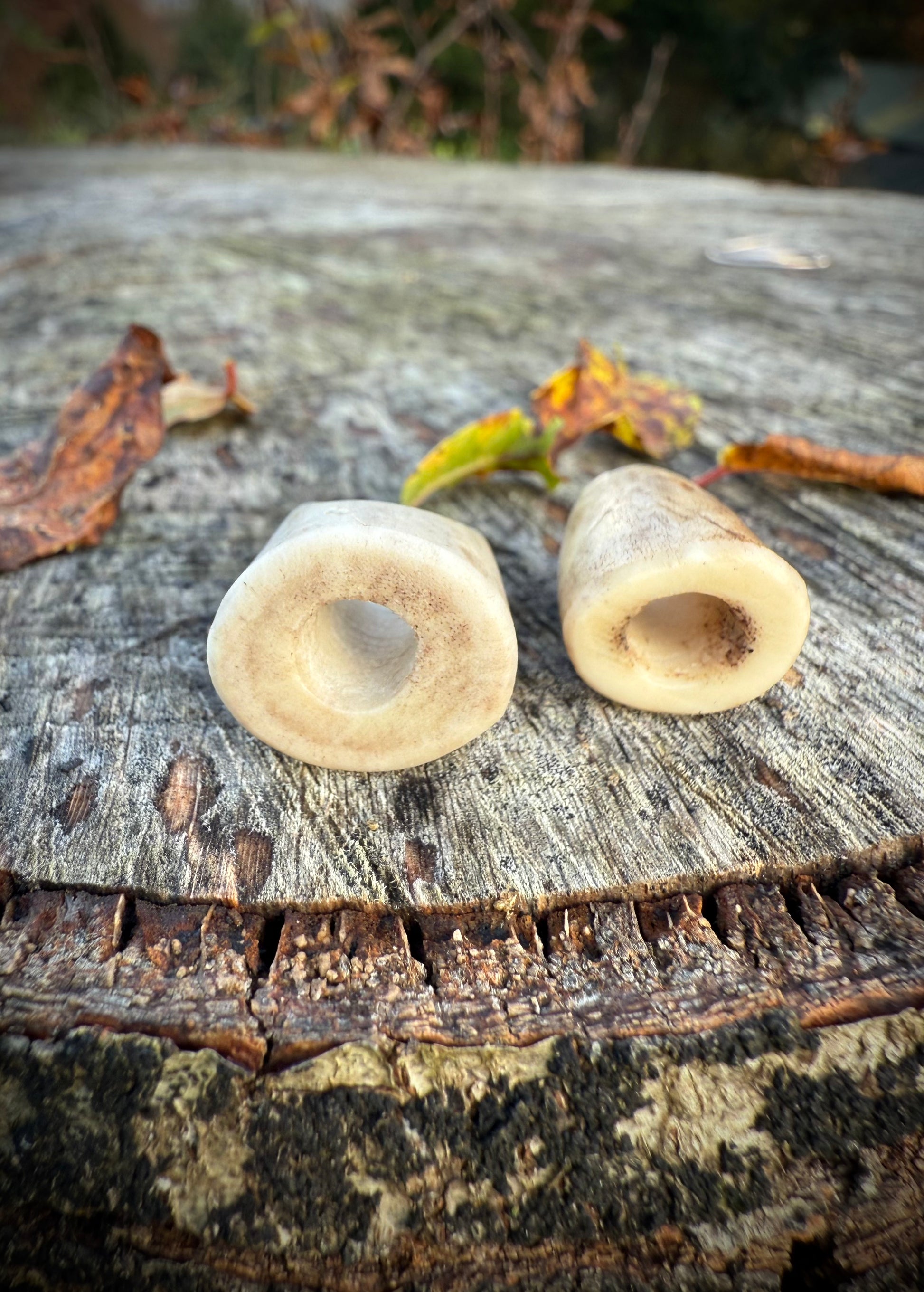 Antler Dreadlock Beads Pair - Ceredigion Dreadlocks