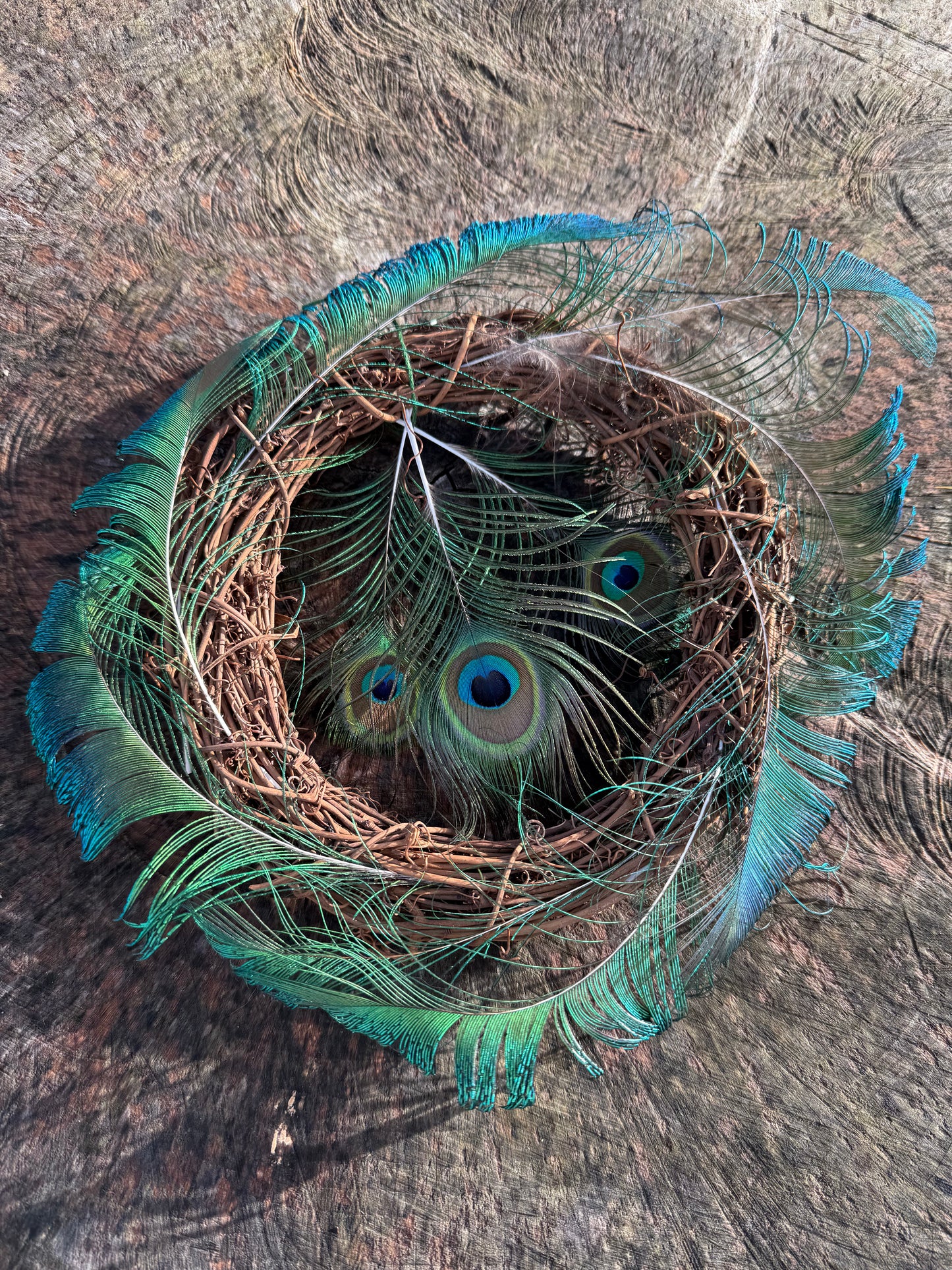 Peacock Feather Wreath