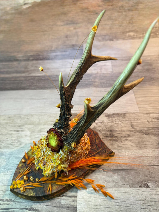 Dried Flowers Decorated Deer Skull Wall Decor Responsibly Sourced Orange Yellow - Ceredigion Dreadlocks