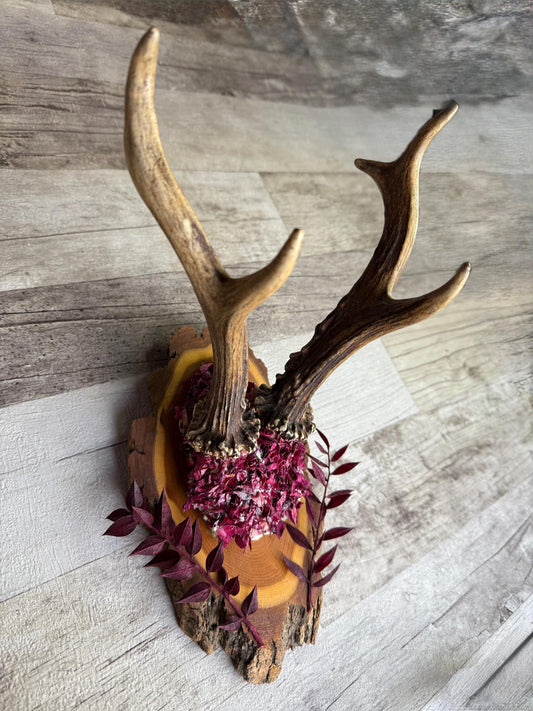 Dried Flowers Decorated Deer Skull Wall Decor Responsibly Sourced Plum Rose